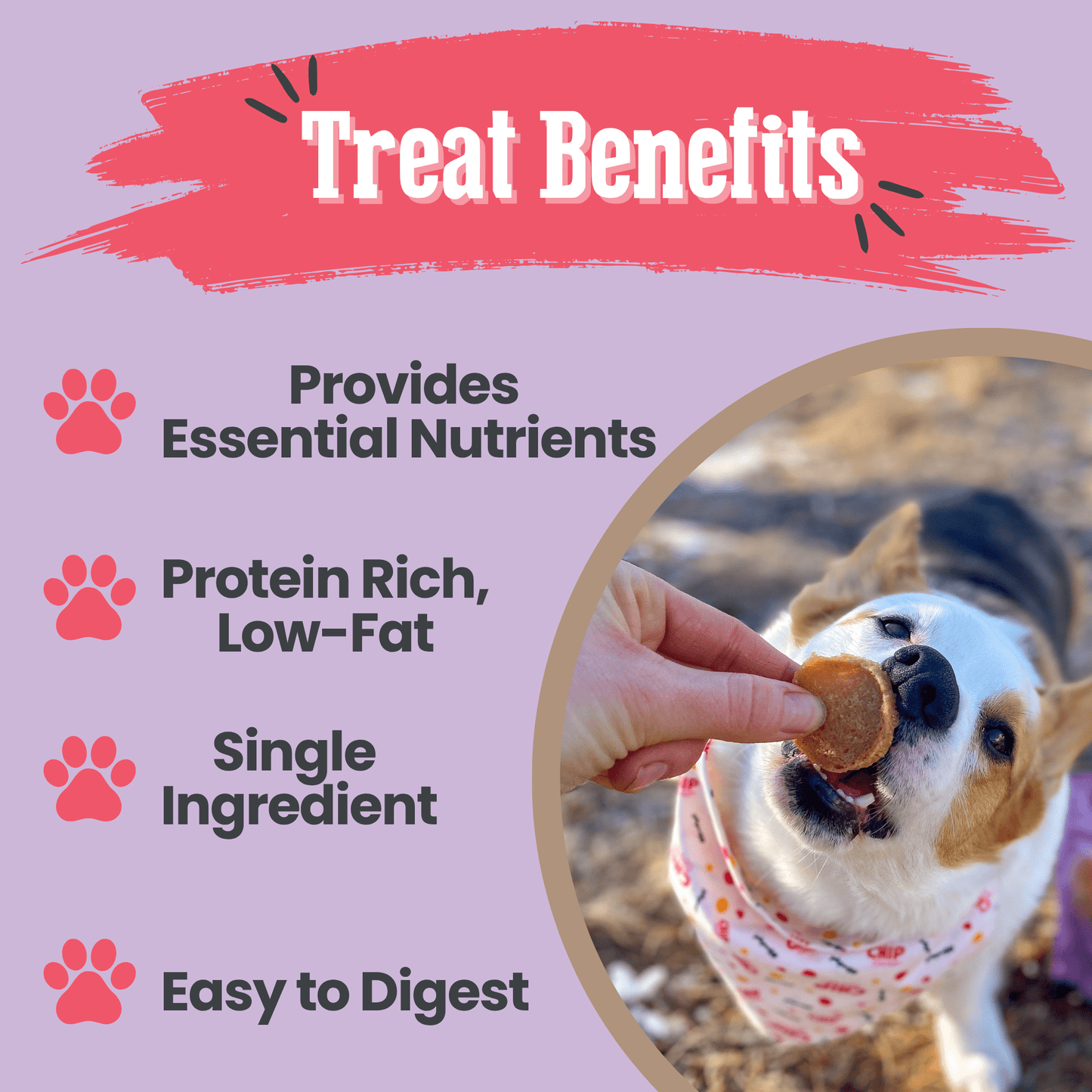 Puppy Love Dog Treat Duo – Healthy Dog Snacks Valentines Puppy Love Chicken and Turkey Combo Chips Treat Benefits