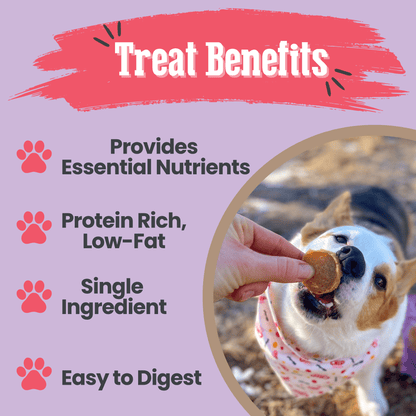 Puppy Love Dog Treat Duo – Healthy Dog Snacks Valentines Puppy Love Chicken and Turkey Combo Chips Treat Benefits