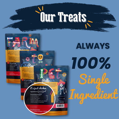 Premios Para Perros Fiesta Pack – Healthy Dog Snacks Premios Para Perros Fiesta Pack Beef Chicken and Turkey Chips Back