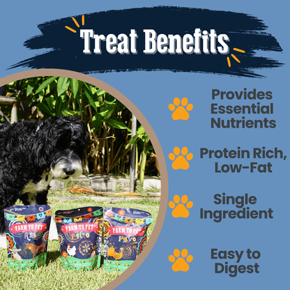 Premios Para Perros Fiesta Pack – Healthy Dog Snacks Premois Para Perros Fiesta Pack Beef Chicken and Turkey Chips Treat Bene