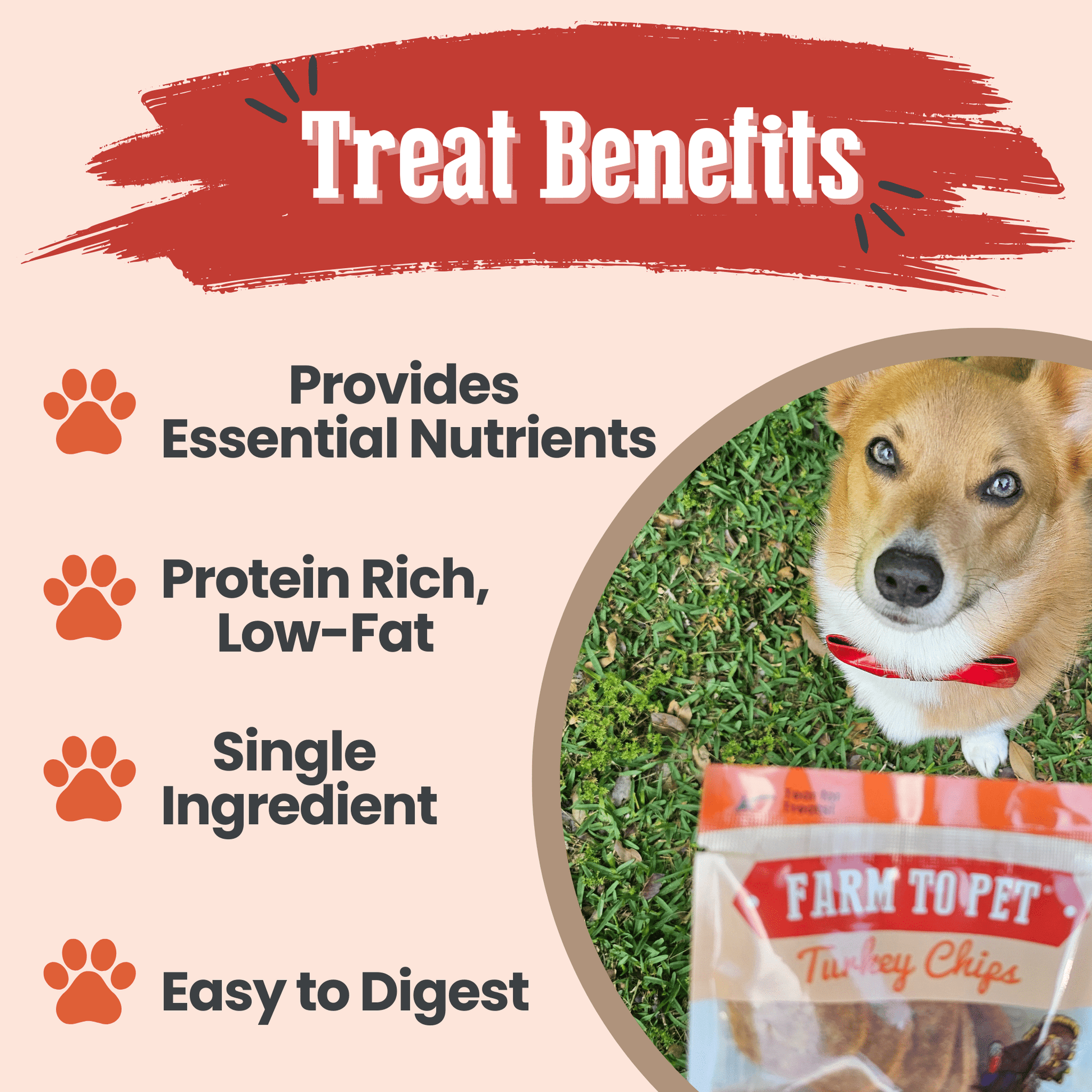 Turkey Chips Snack Packs – Heart Healthy Snack Pack Turkey Chips Benefits