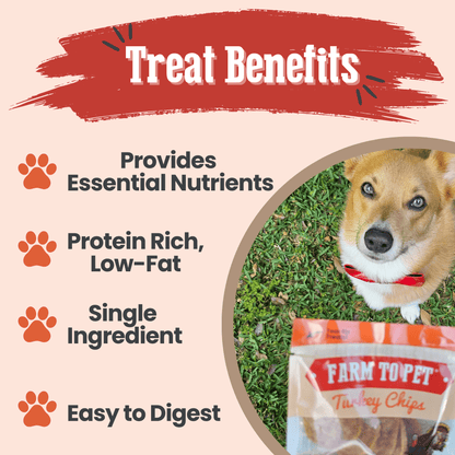 Turkey Chips Snack Packs – Heart Healthy Snack Pack Turkey Chips Benefits