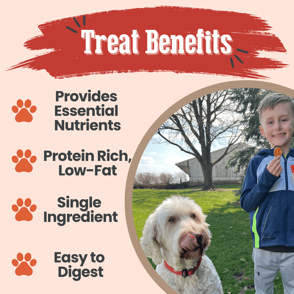 Dog treat benefits with a boy and dog in a park setting