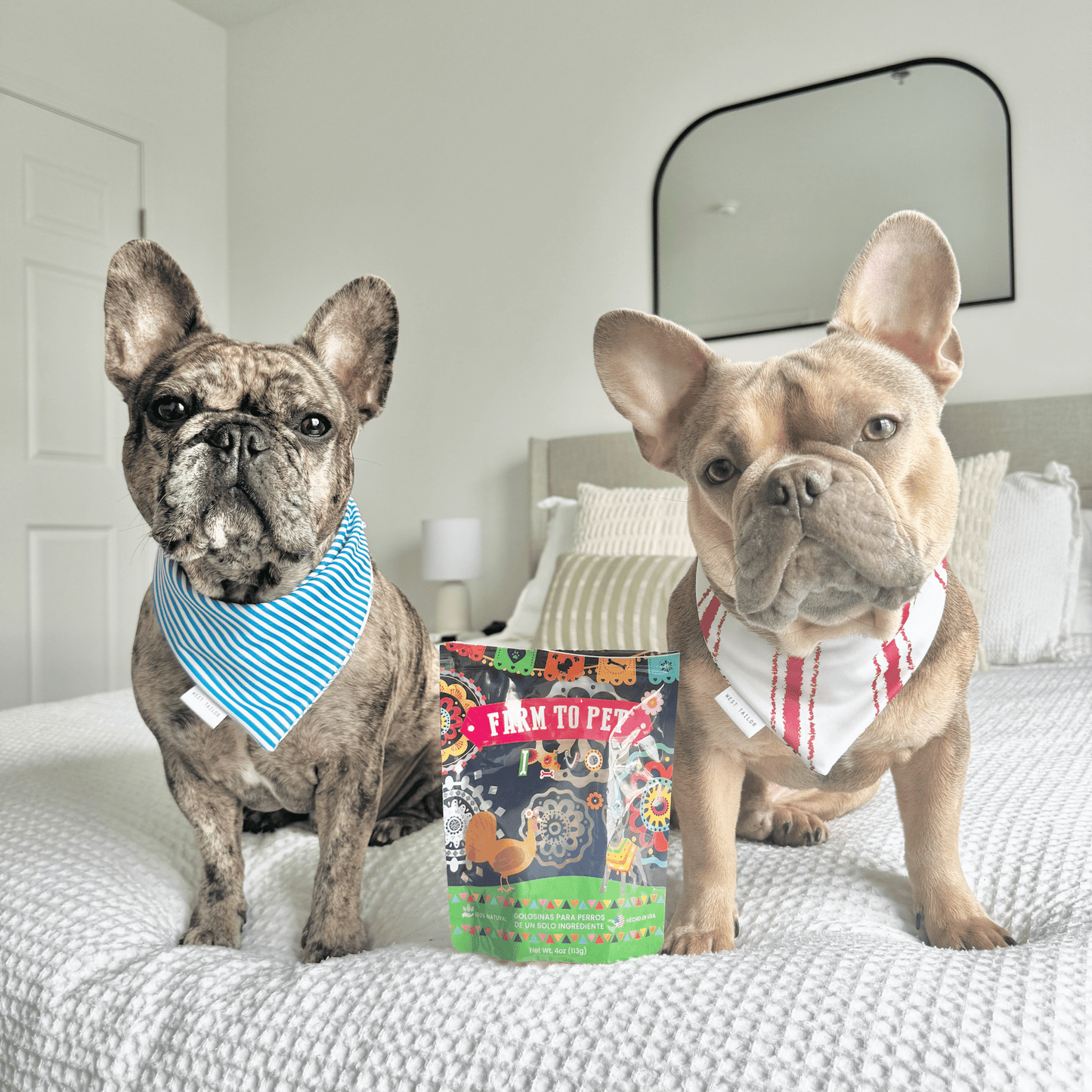 Premios Para Perros Fiesta Pack – Hormone Free Beef Chicken and Turkey Dog Treats Premios Para Perros Fiesta Pack Dog Variety
