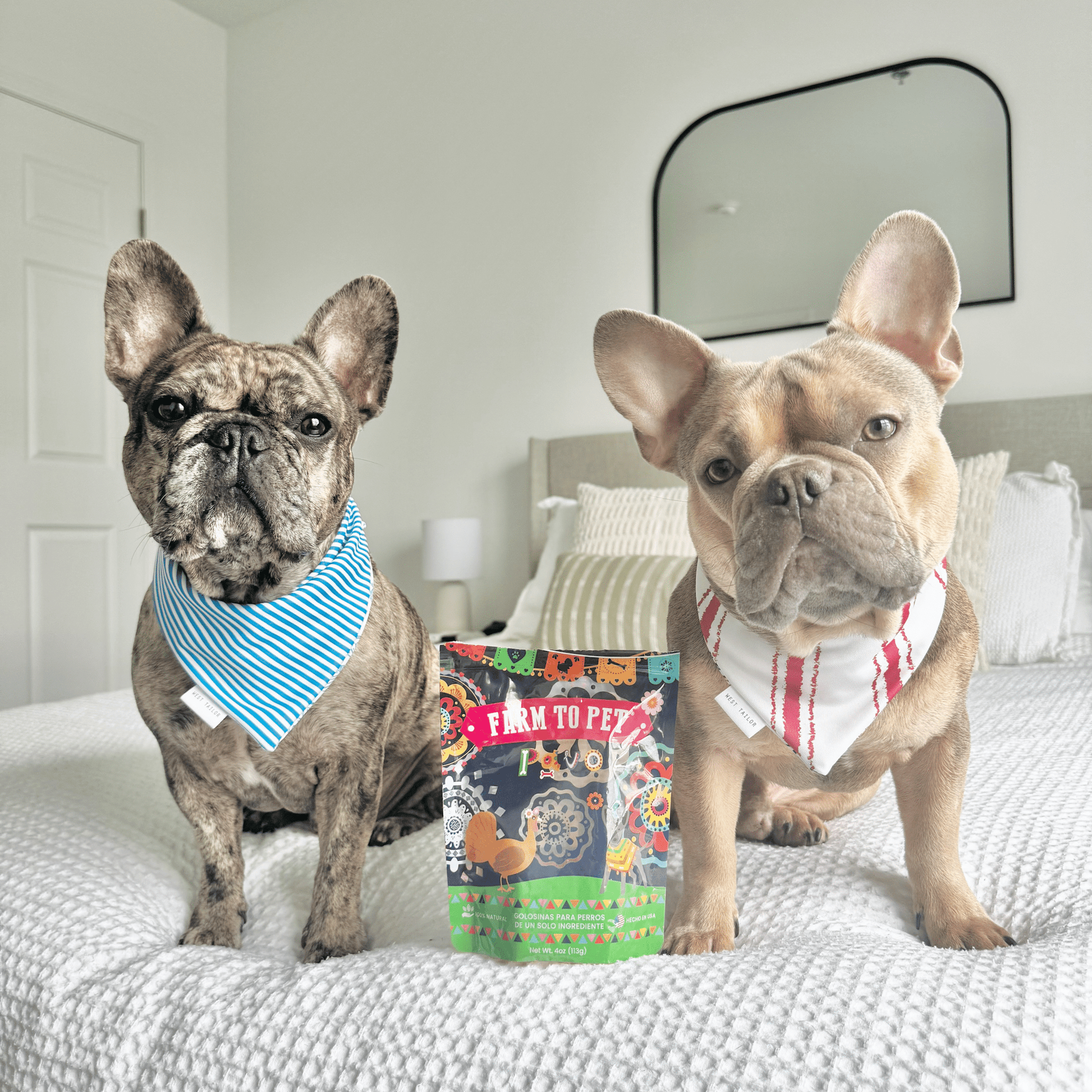Premios Para Perros Fiesta Pack – Hormone Free Beef Chicken and Turkey Dog Treats Premios Para Perros Fiesta Pack Dog Variety