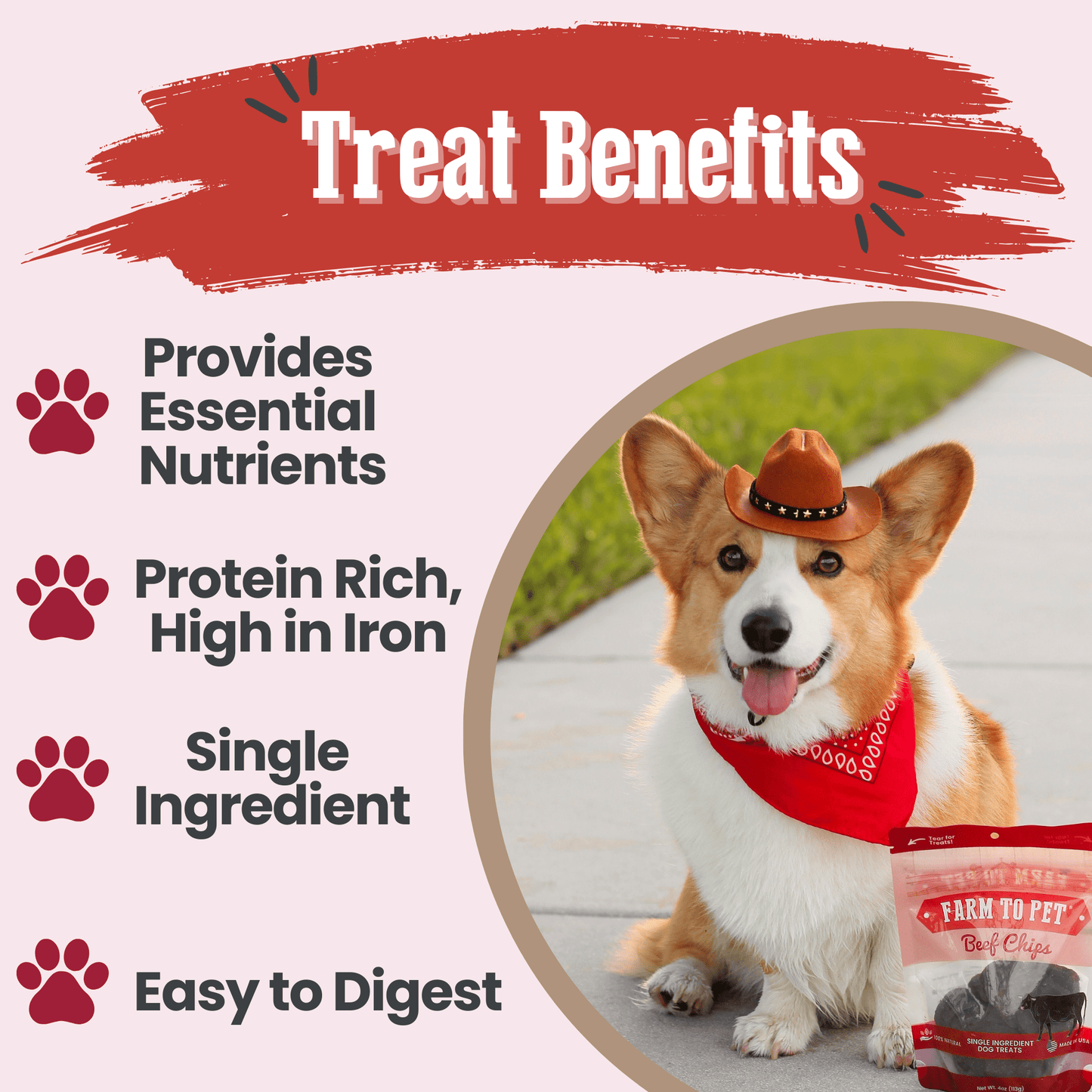 Farm To Pet Beef Chips – Lean Beef Dog Snacks 4oz Beef Chips Treat Benefits