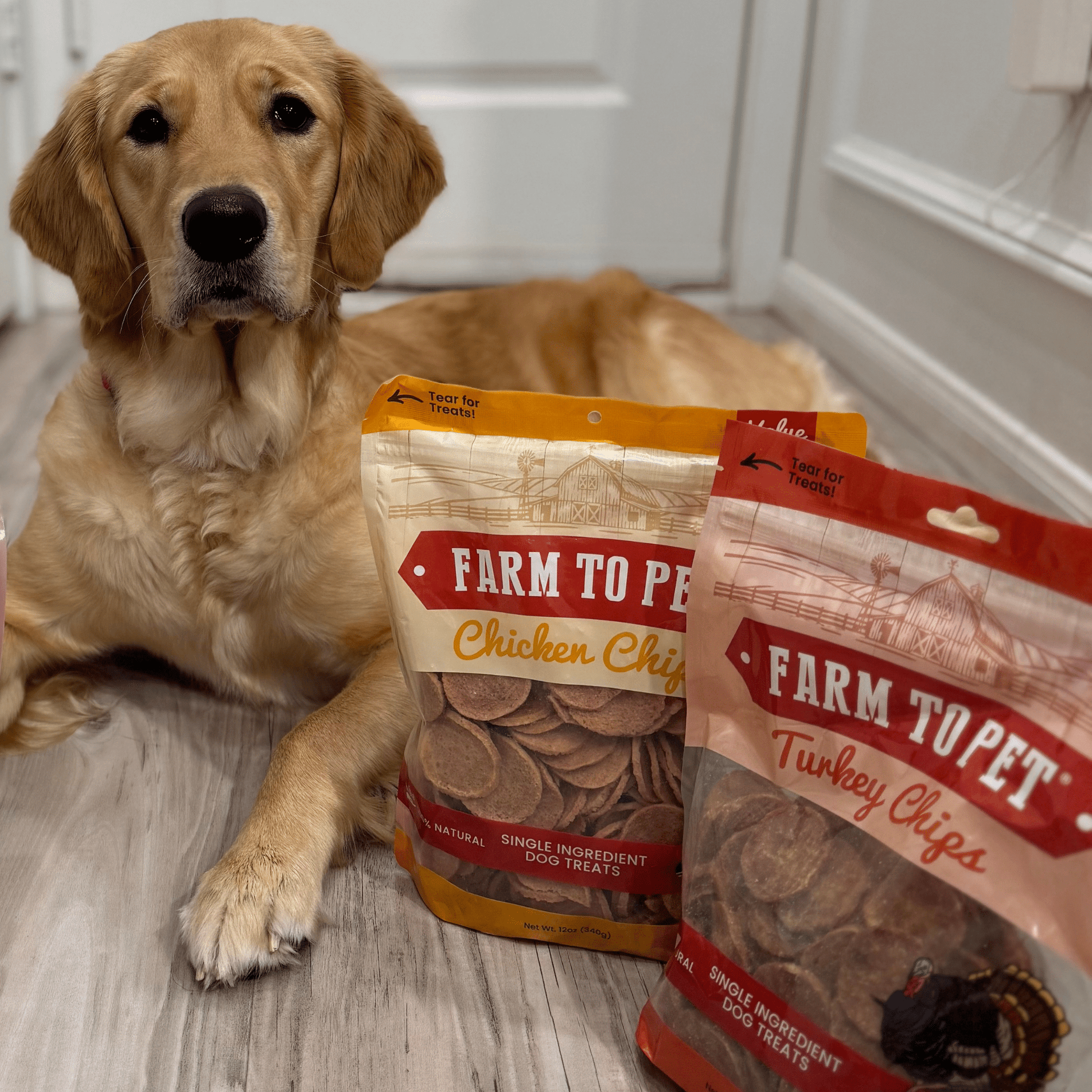 Turkey & Chicken Chip Duo – Lean Dog Snacks 12oz Chicken and Turkey Treat Duo Combo Chips Dog