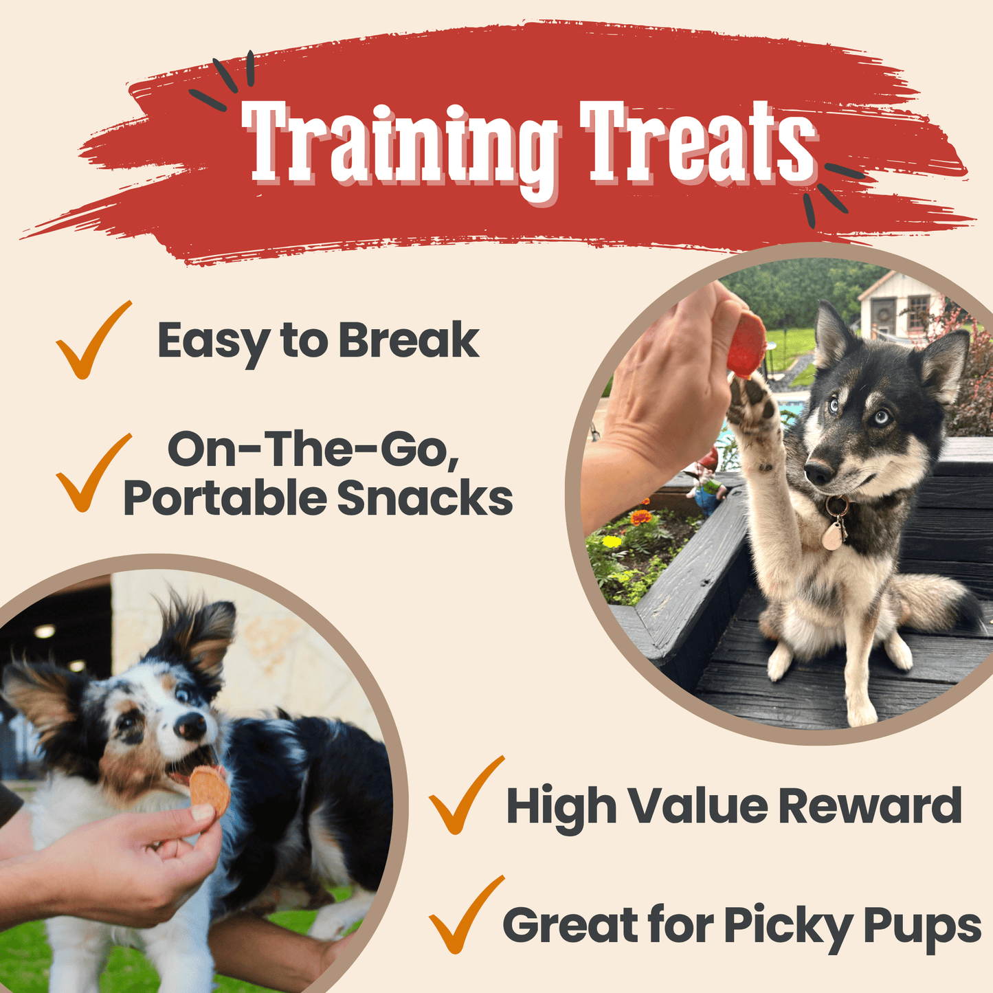 Turkey & Chicken Chip Duo – Lean Dog Snacks 12oz Chicken and Turkey Treat Duo Combo Chips Training Treats
