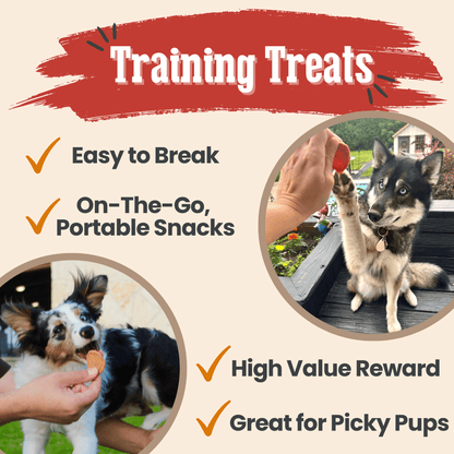 Turkey & Chicken Chip Duo – Lean Dog Snacks 12oz Chicken and Turkey Treat Duo Combo Chips Training Treats