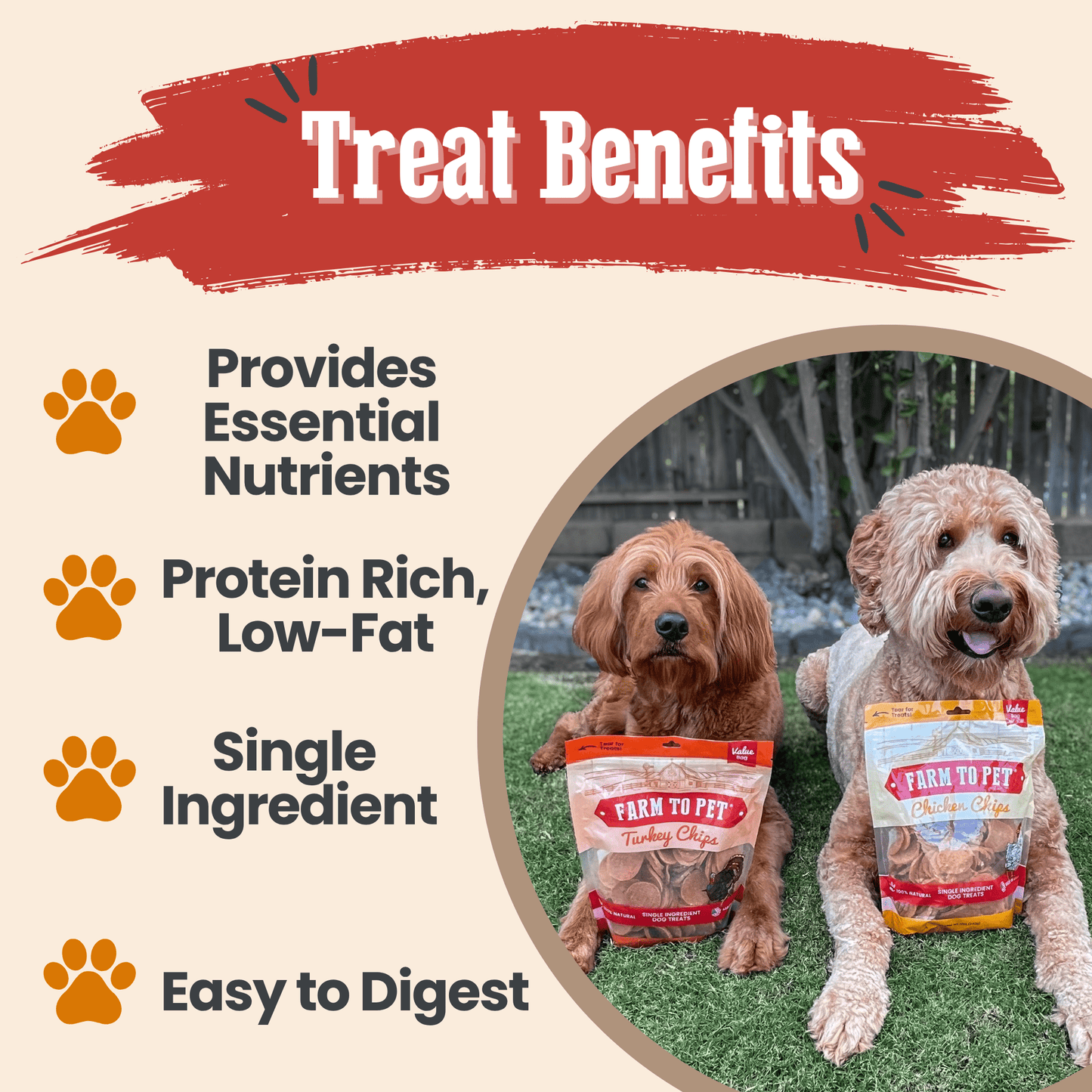 Turkey & Chicken Chip Duo – Lean Dog Snacks 12oz Chicken and Turkey Treat Duo Combo Chips Treat Benefits