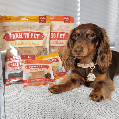 Turkey & Chicken Chip Duo – Lean Dog Snacks 12oz Chicken and Turkey Treat Duo Combo Chips Value
