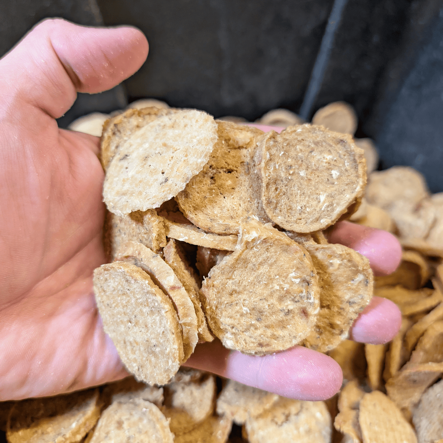 Farm To Pet Fish Chips for Dogs – Wild-Caught Walleye Treats - Whisker House