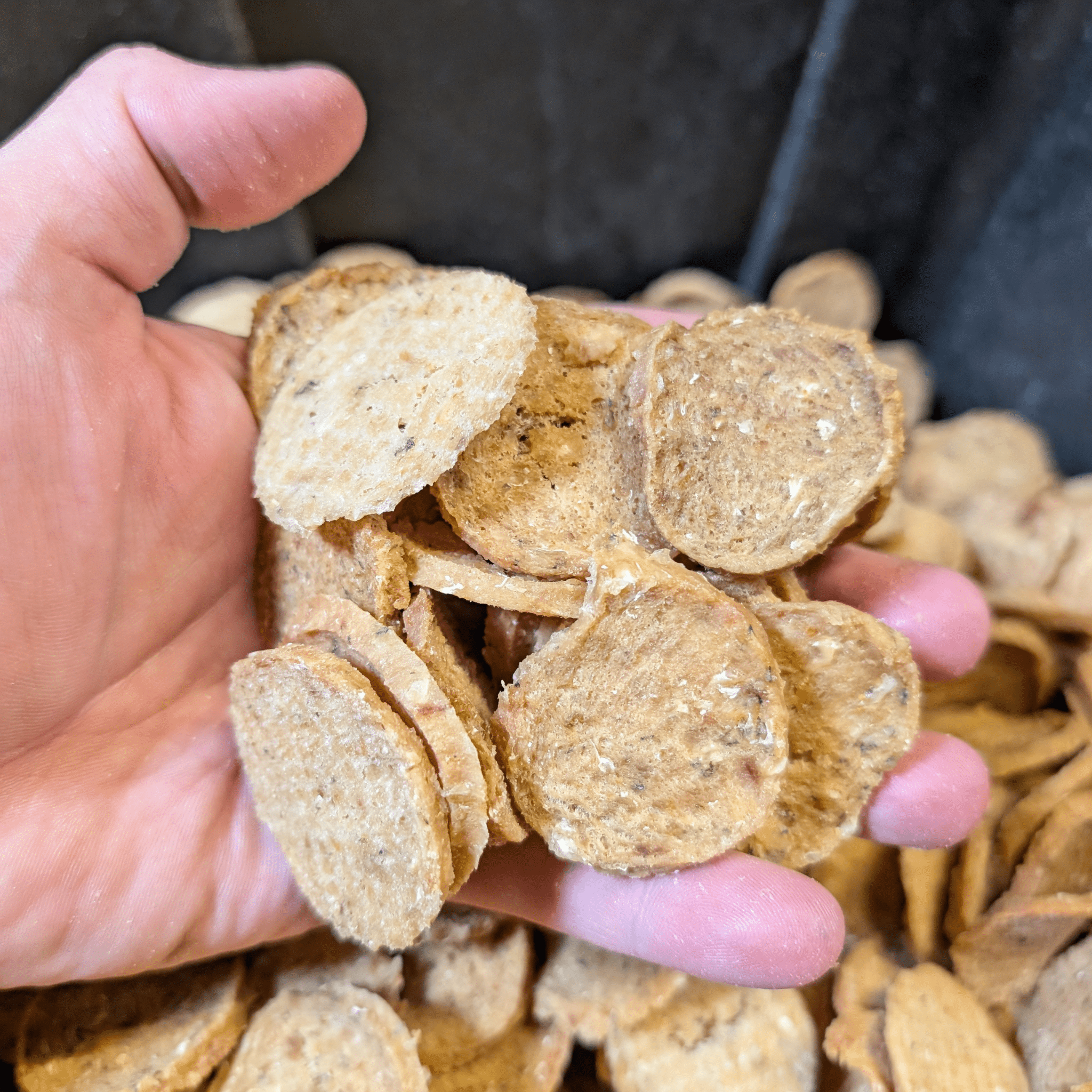 Hand holding a pile of round, brown pet treats.