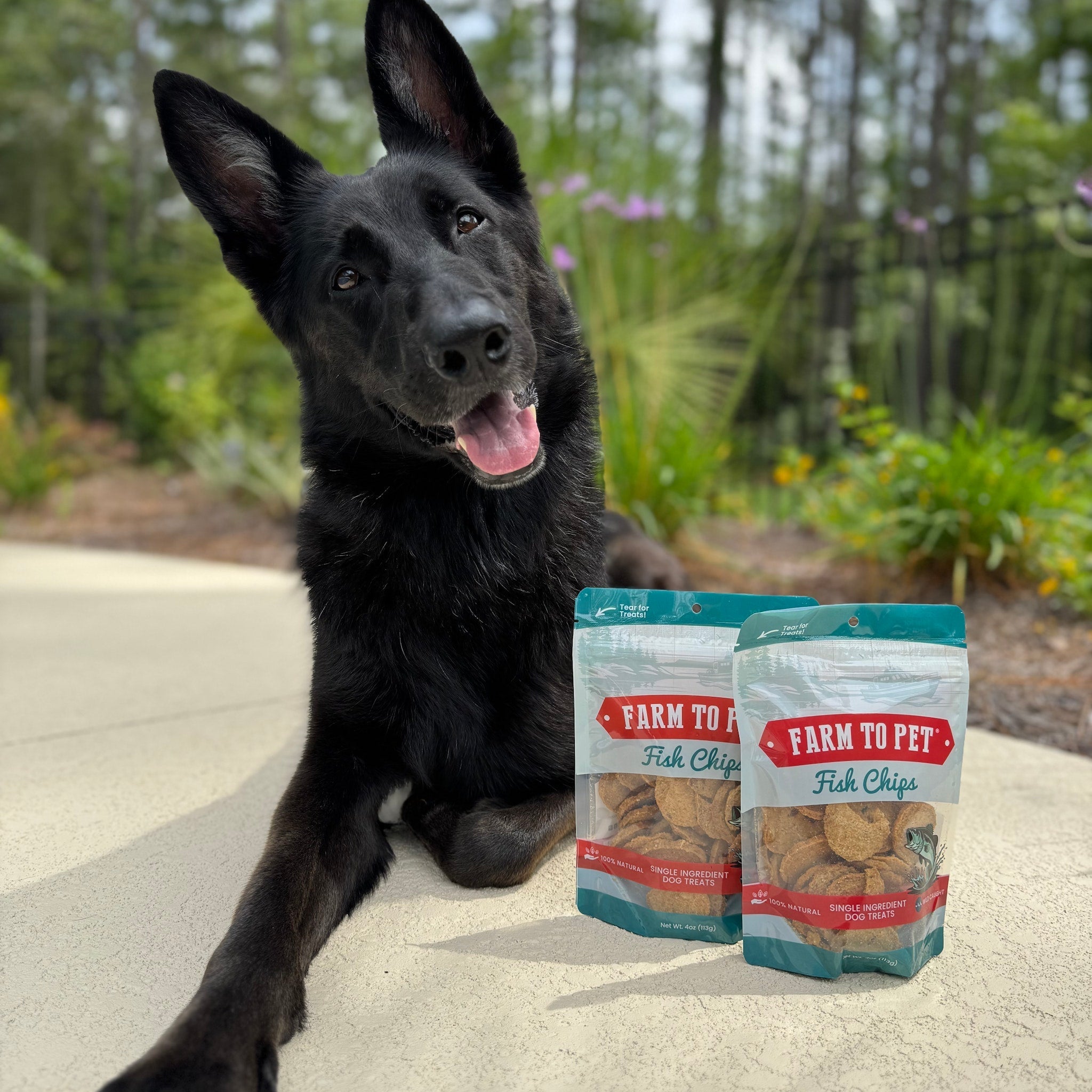 Farm To Pet Fish Chips for Dogs – Wild-Caught Walleye Treats - Whisker House