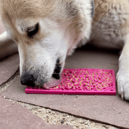 SodaPup® Lick Mats for Cats & Small Dogs | Pet Enrichment Toy - Whisker House