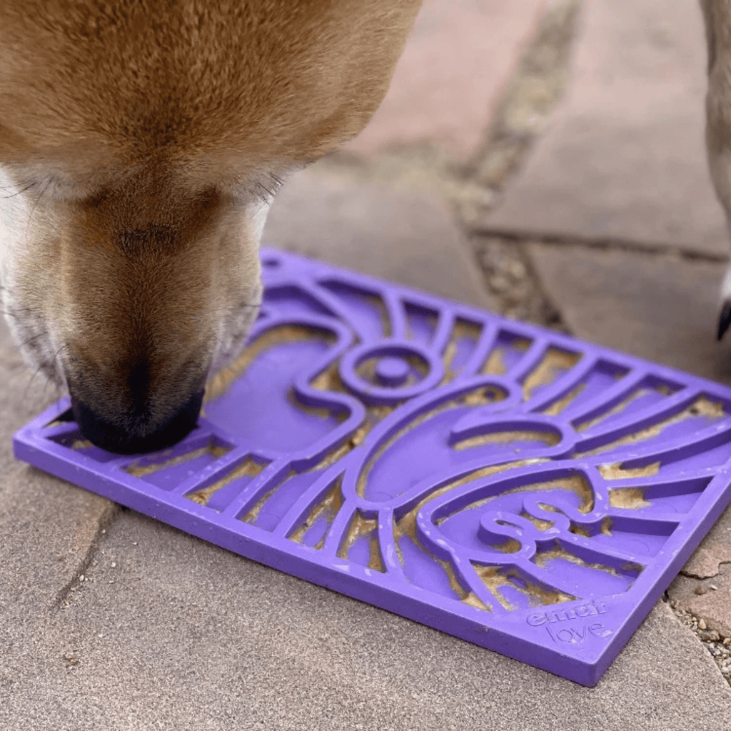 SodaPup® Lick Mats for Cats & Small Dogs | Pet Enrichment Toy - Whisker House