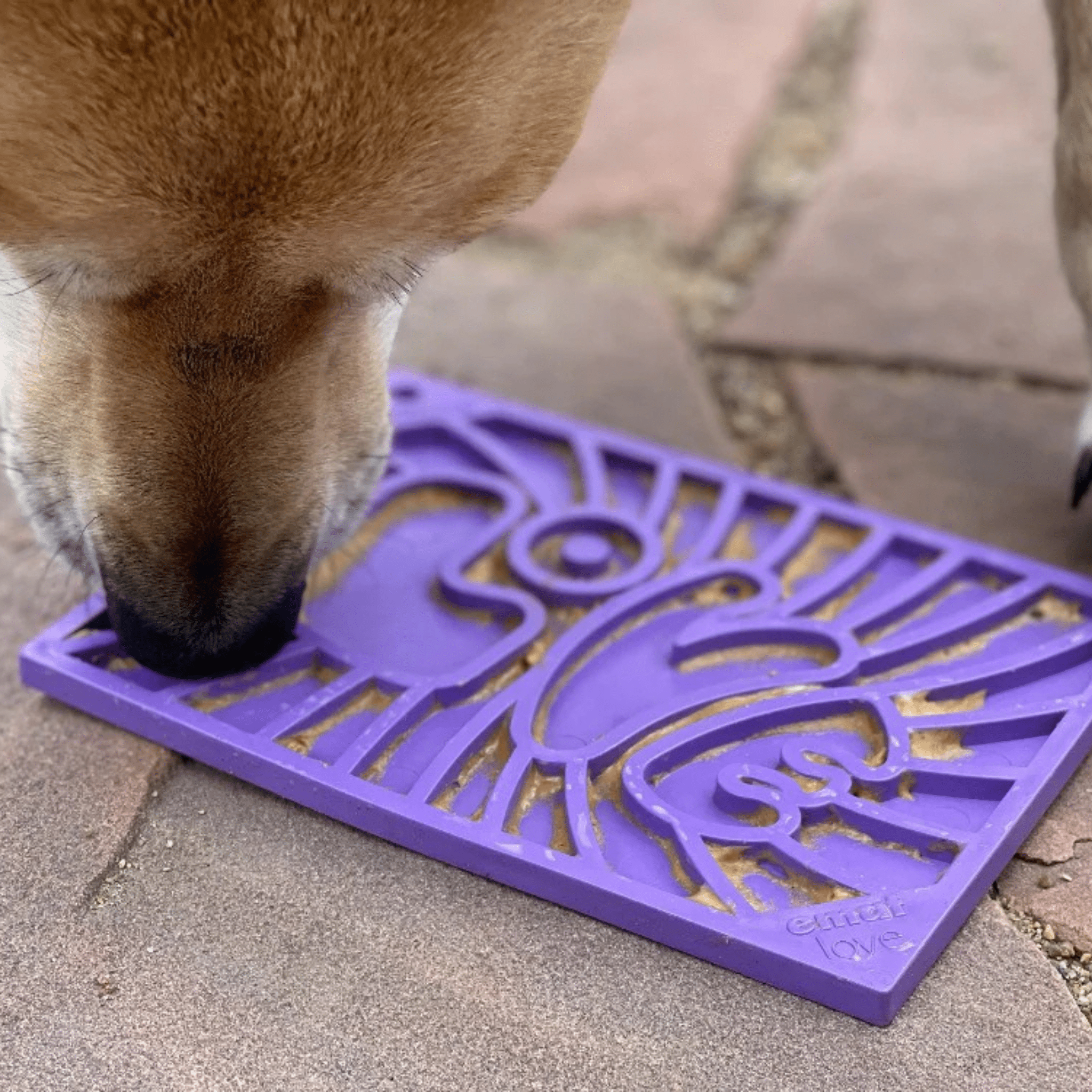 SodaPup® Lick Mats for Cats & Small Dogs | Pet Enrichment Toy - Whisker House