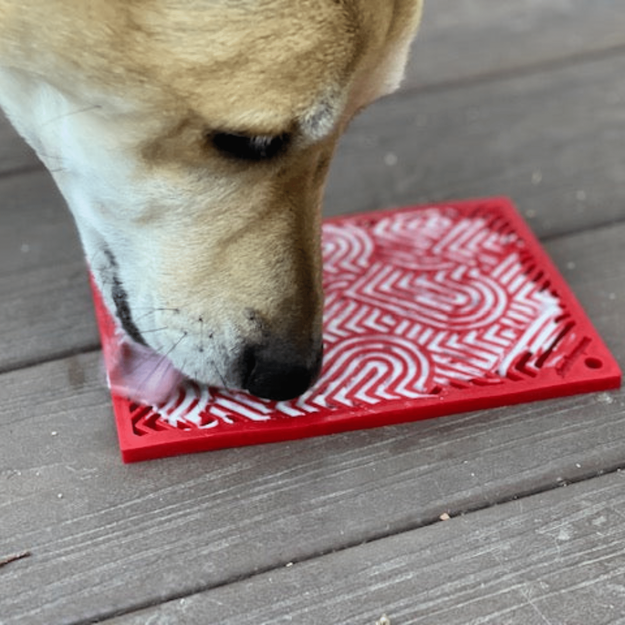 SodaPup® Lick Mats for Cats & Small Dogs | Pet Enrichment Toy - Whisker House