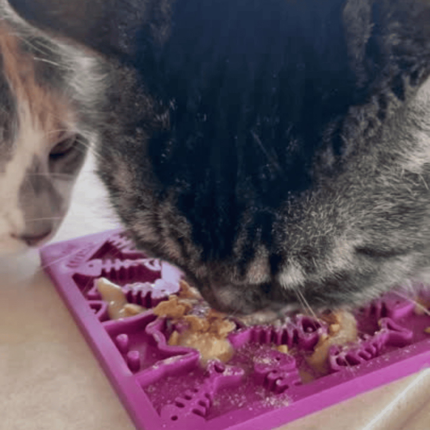 SodaPup® Lick Mats for Cats & Small Dogs | Pet Enrichment Toy - Whisker House