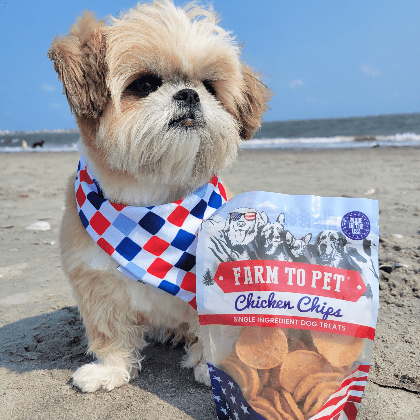 Americana Chicken Chips – Natural Chicken Dog Snacks 4oz Americana Chicken Chips beach dog