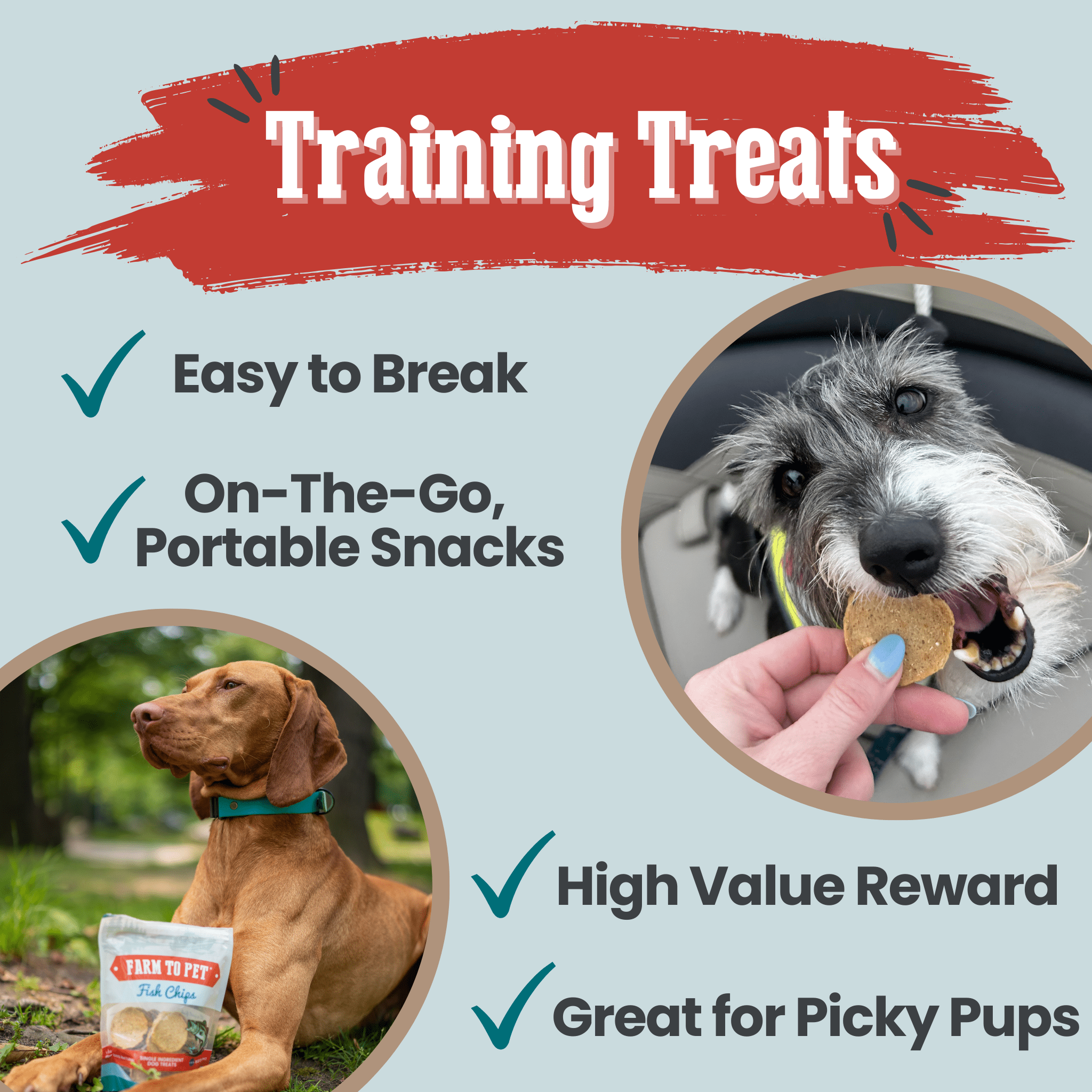 Farm To Pet Fish Chips for Dogs – Wild-Caught Walleye Treats - Whisker House