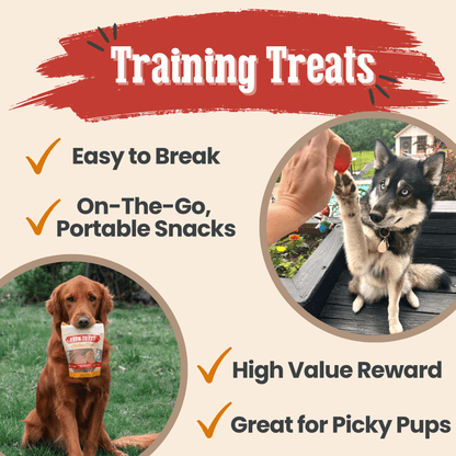 Turkey & Chicken Chip Duo – Nutrient Rich Treats 4oz Chicken and Turkey Treat Duo Combo Chips Training Treats