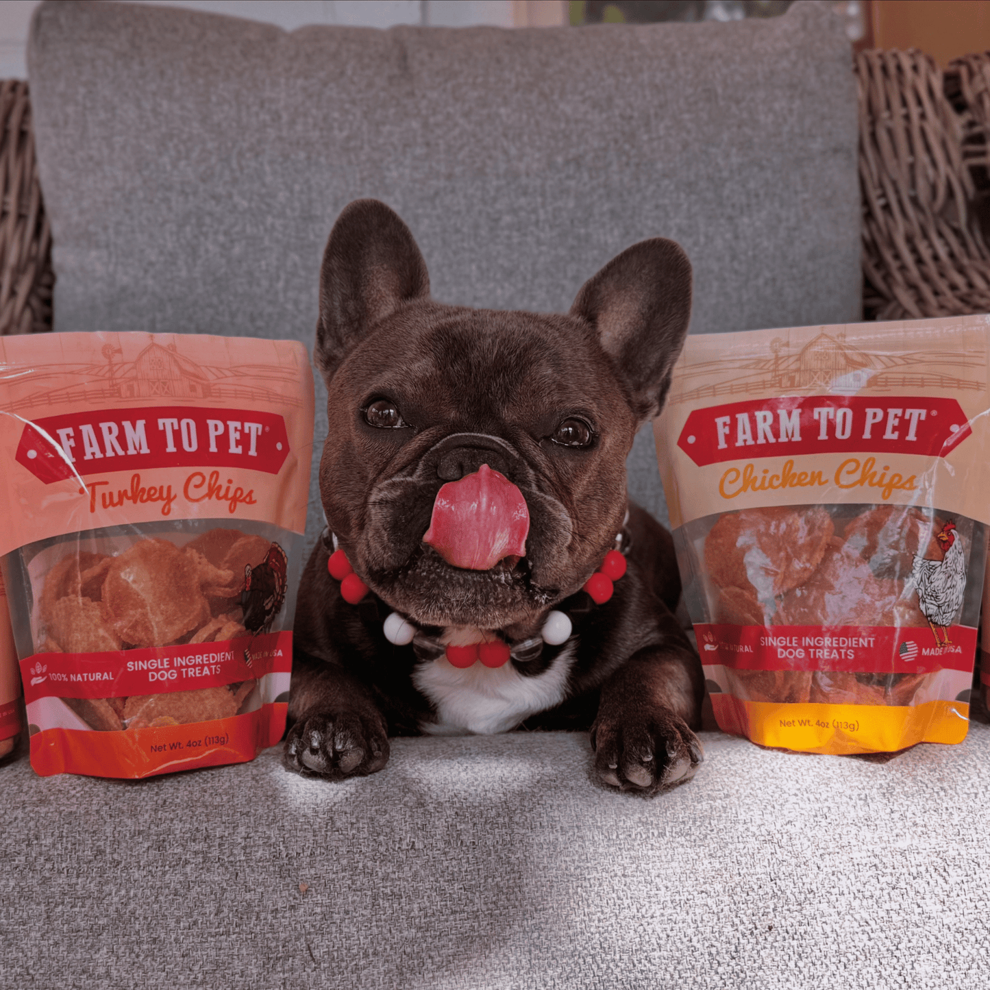 Turkey & Chicken Chip Duo – Nutrient Rich Treats 4oz Chicken and Turkey Treat Duo Combo Chips tongue