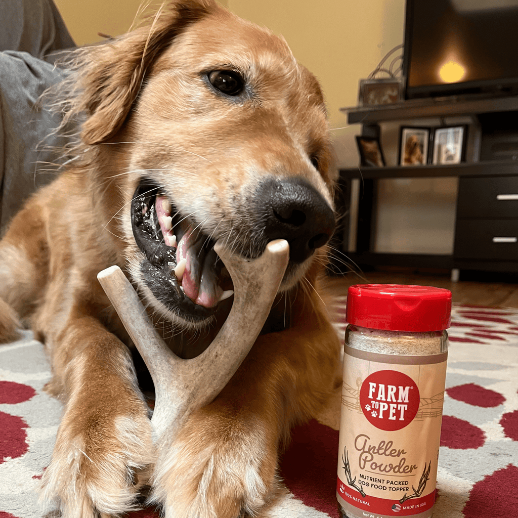 Dog chewing on a bone with a jar of 'Farm to Pet' gutted powder in the foreground.