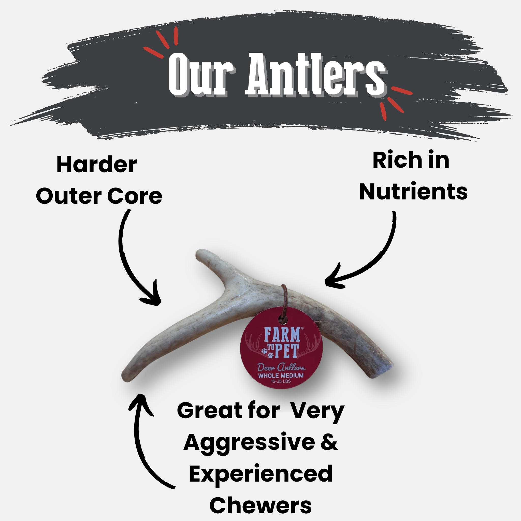 Antlers with text highlighting features on a white background