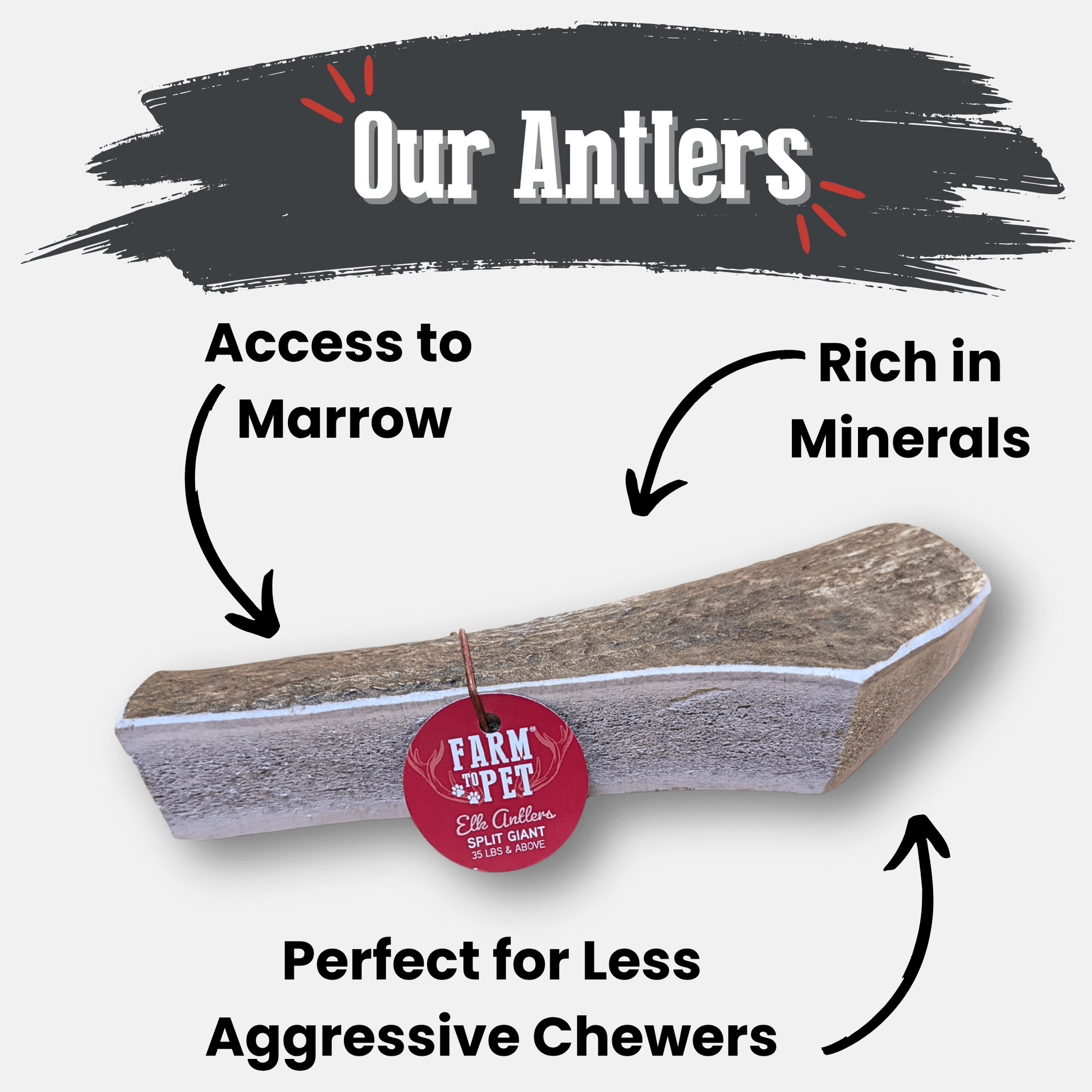 Deer antler with text highlighting its features on a white background