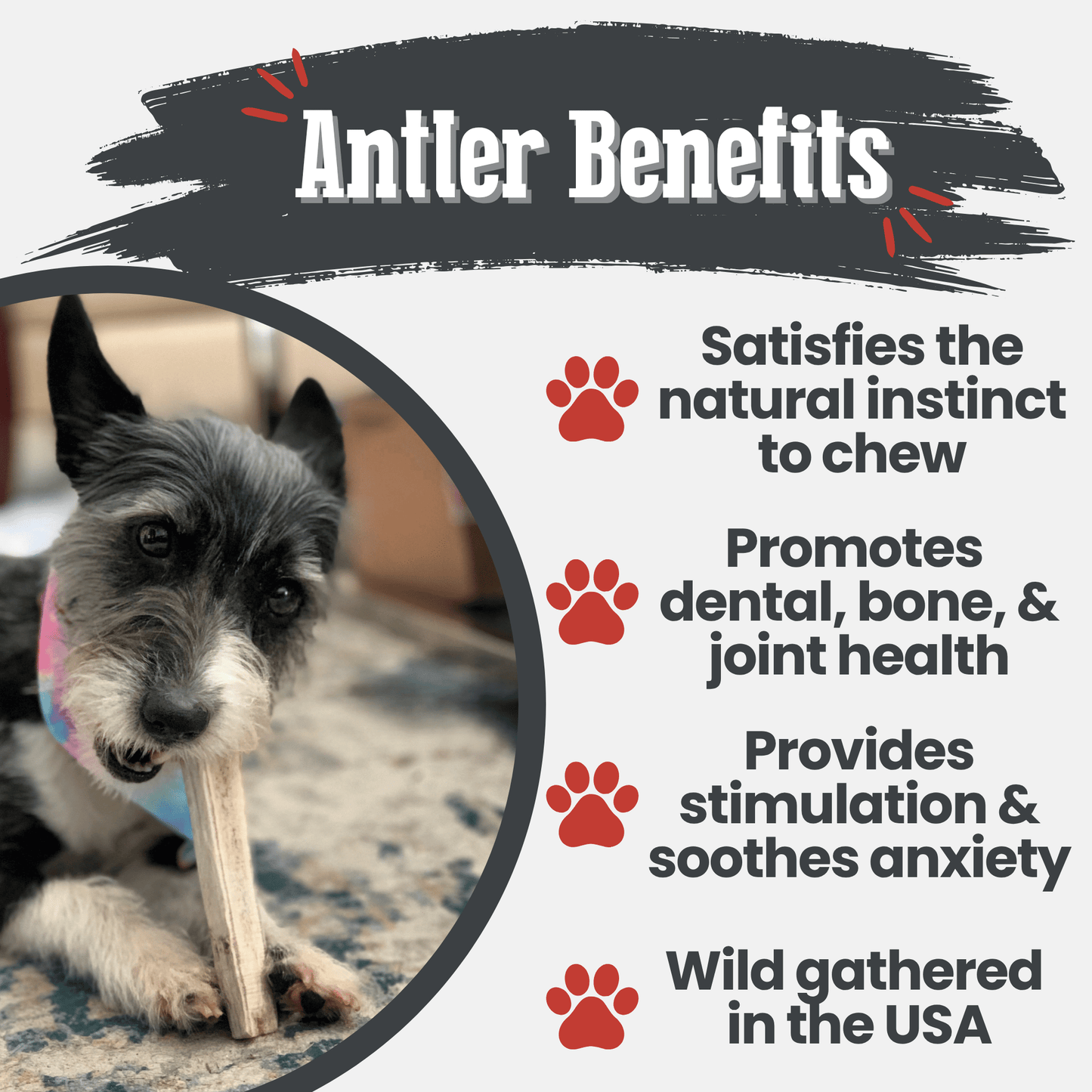 Farm To Pet Elk Antler Dog Chews – Organic Dog Chew Non Splintering Dog Bone Elk Antler Split Small Antlers for Dogs Benefits