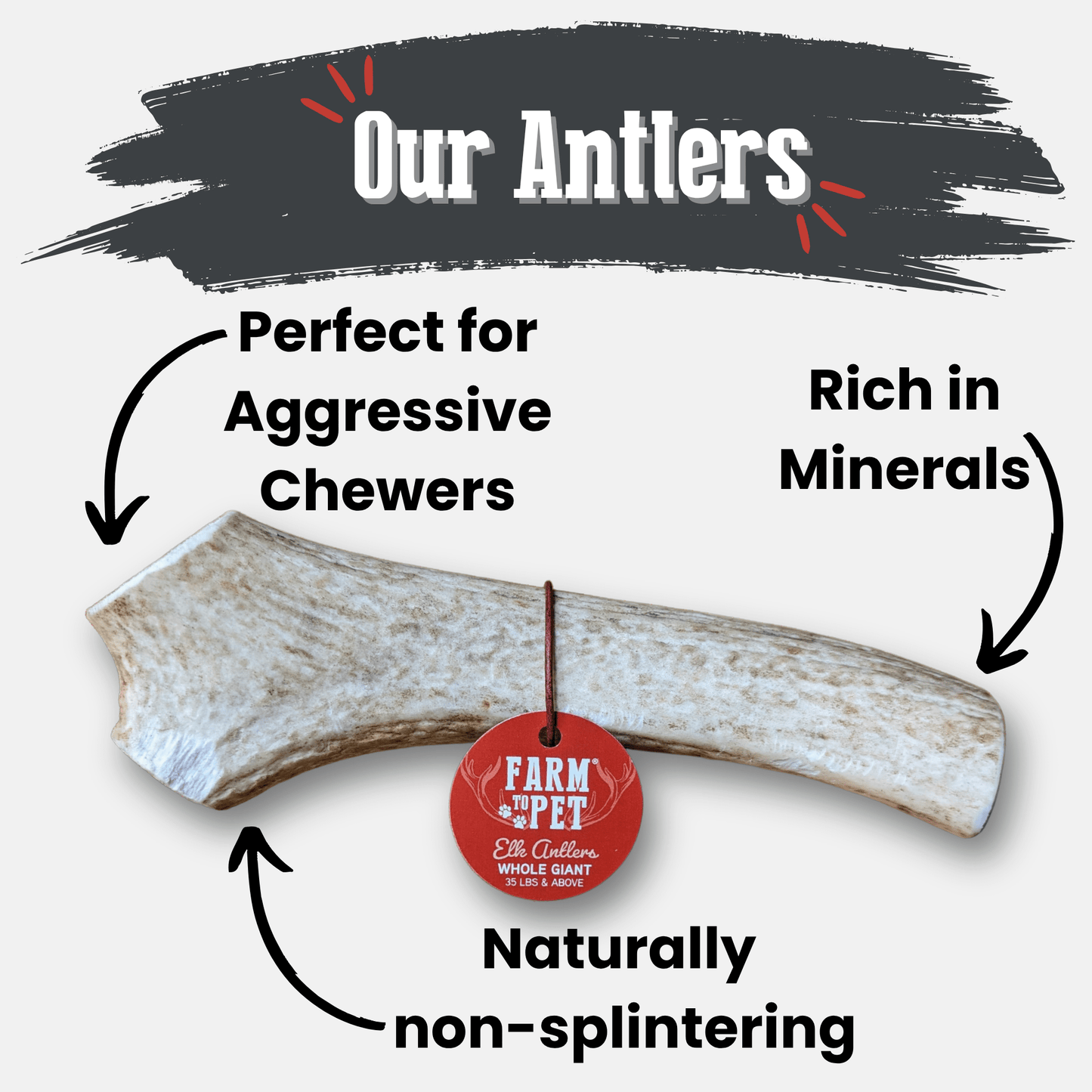 Antler with text highlighting its features for aggressive chewers, minerals, and non-splintering on a white background.