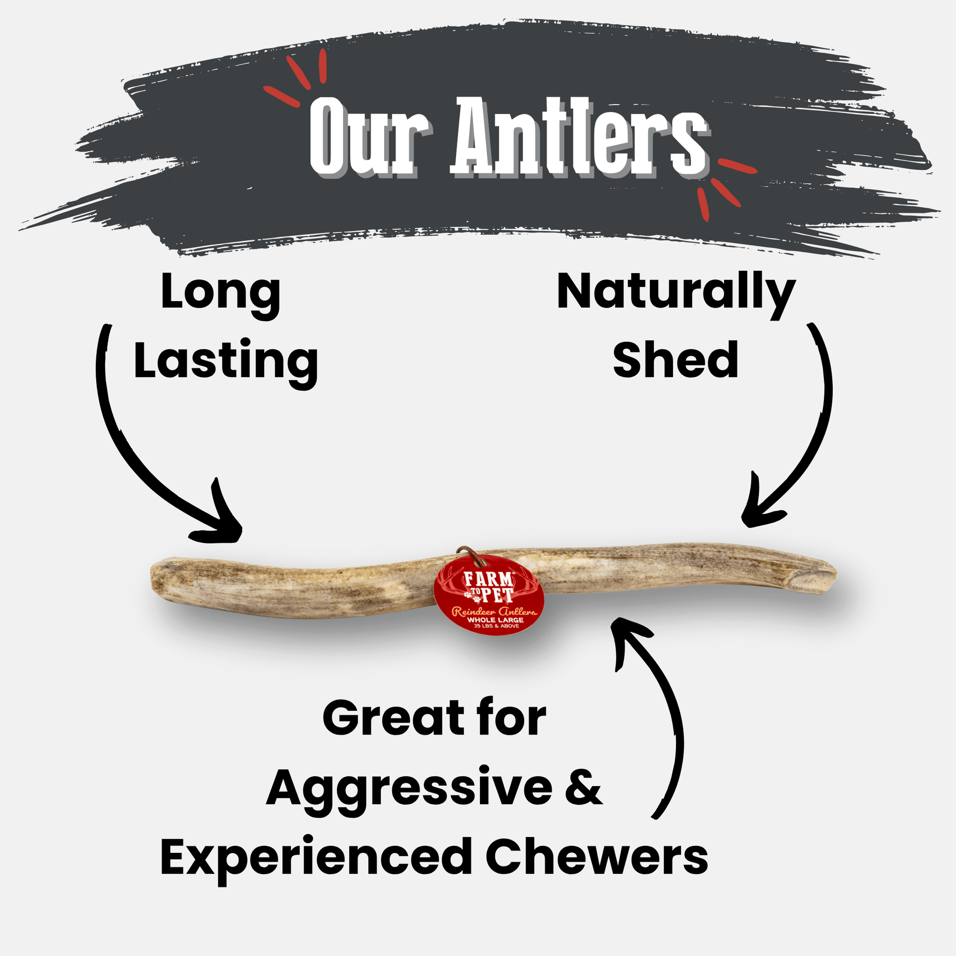Wooden antler with text highlighting features on a gray background