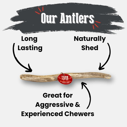 Wooden antler with text highlighting features on a gray background
