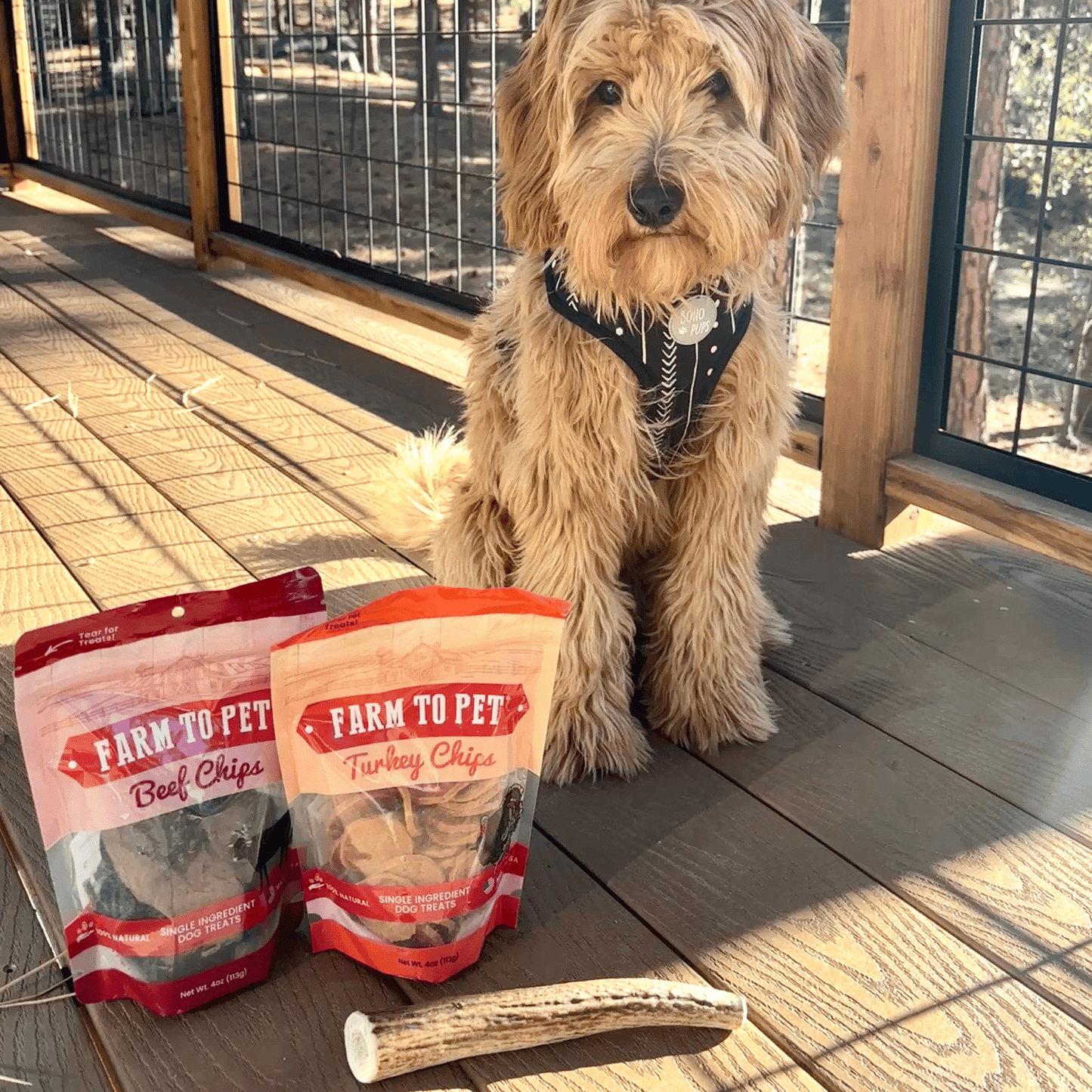 Dog sitting on a wooden deck with two packages of 'Farm to Pet' dog treats and a chew stick.
