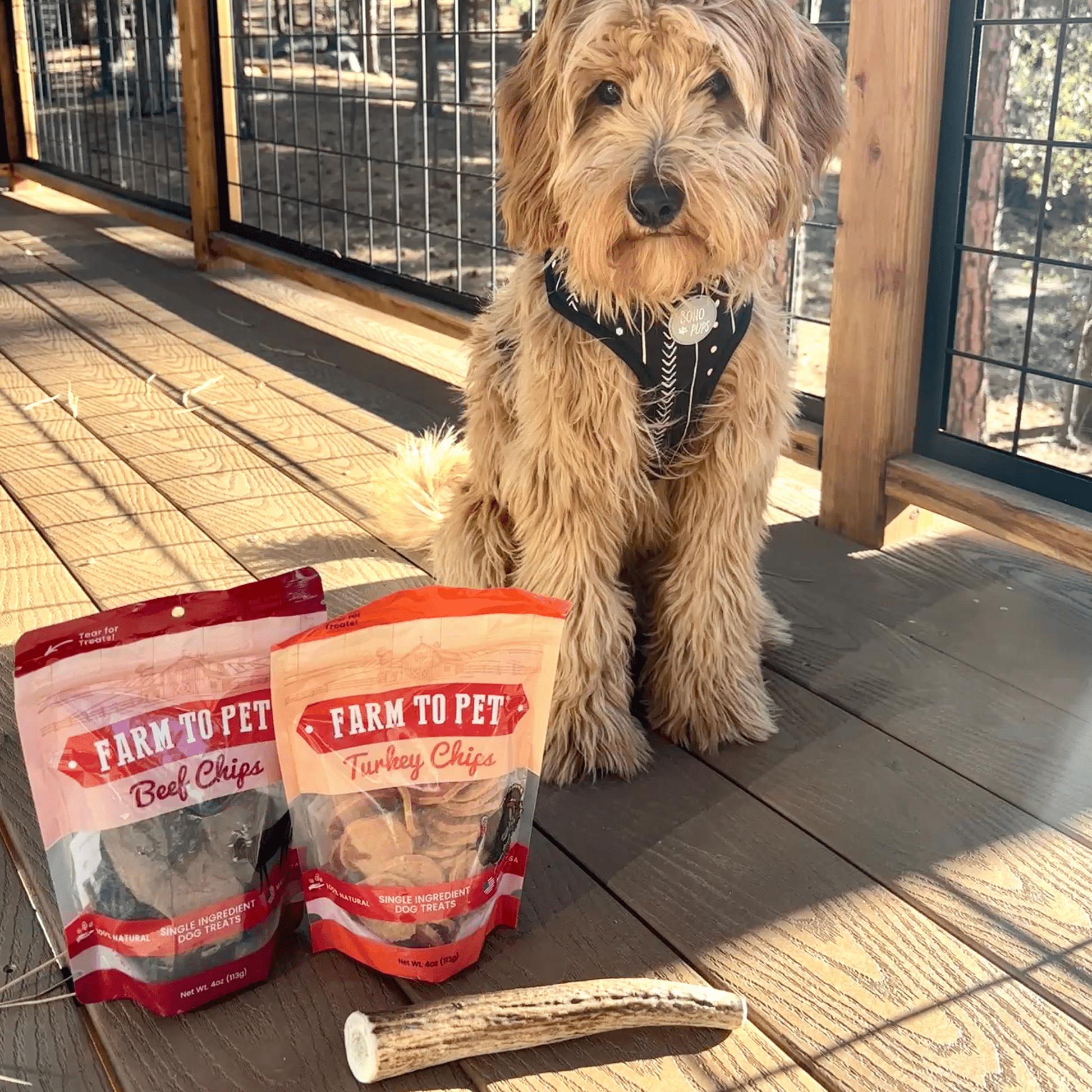 Dog sitting on a wooden deck with two packages of 'Farm to Pet' dog treats and a chew stick.