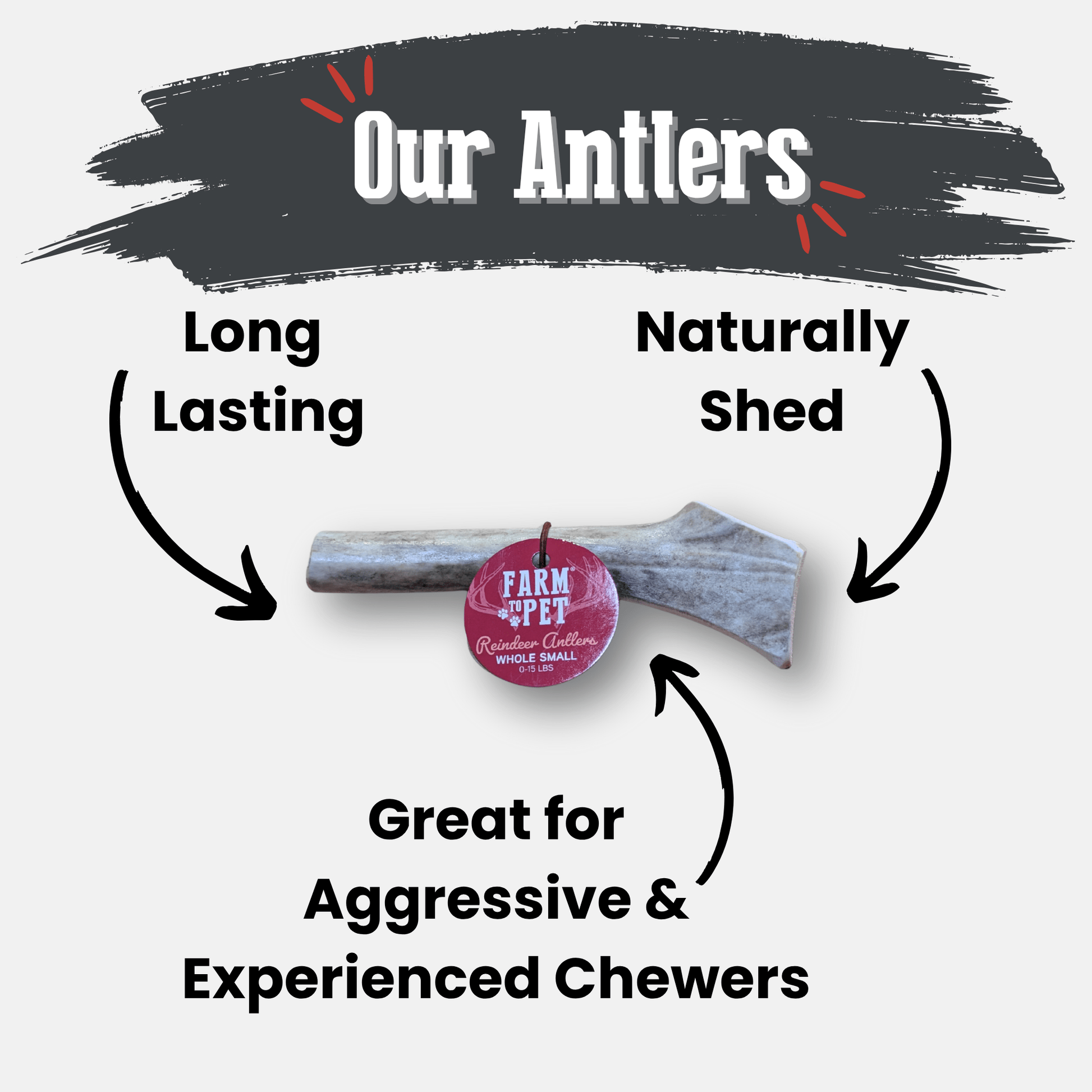 Farm To Pet Reindeer Antler Dog Chews – Organic Dog Chew Non Splintering Dog Bone Reindeer Antler Whole Small4