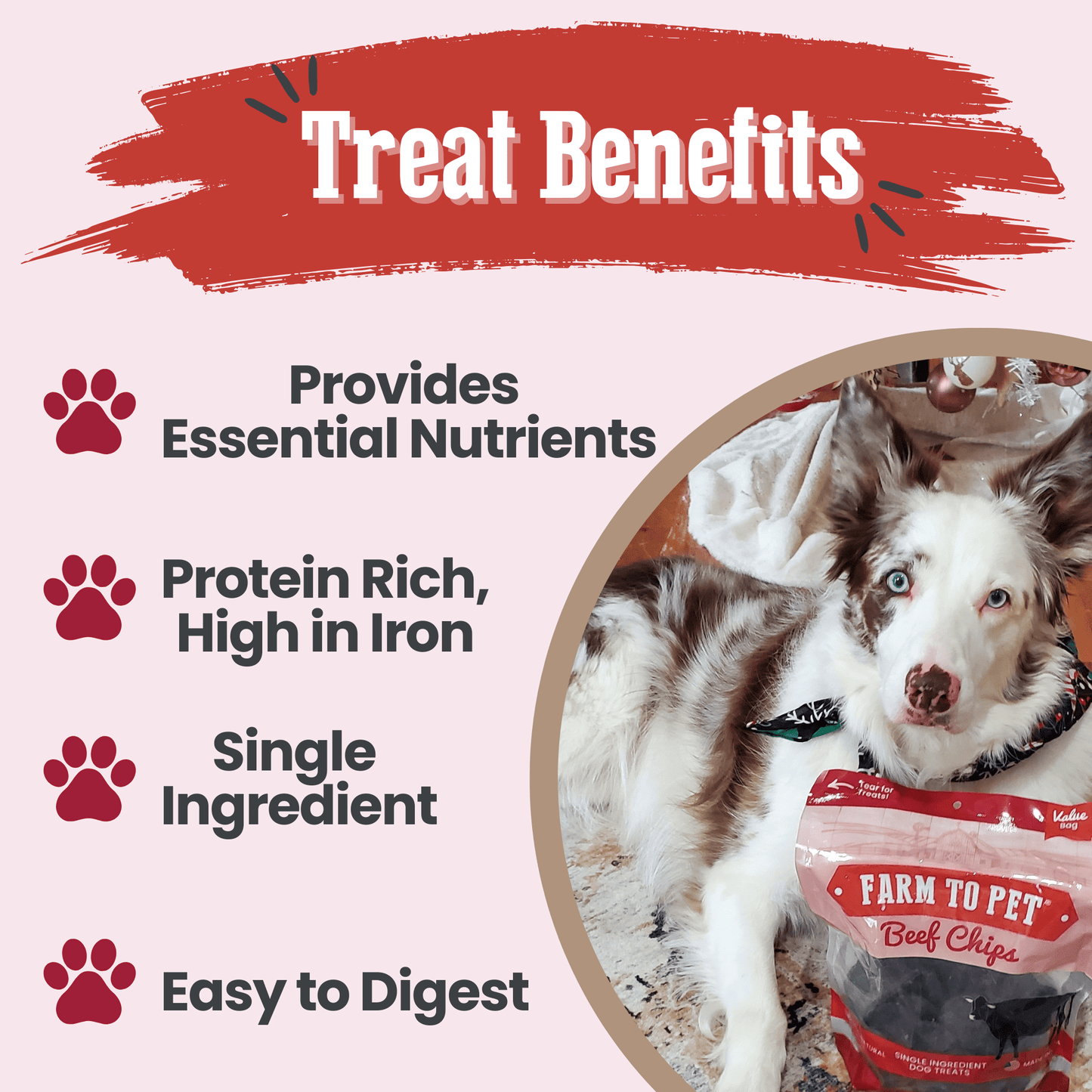 Farm To Pet Beef Chips – Premium Dog Treats 12oz Beef Chips Treat Benefits