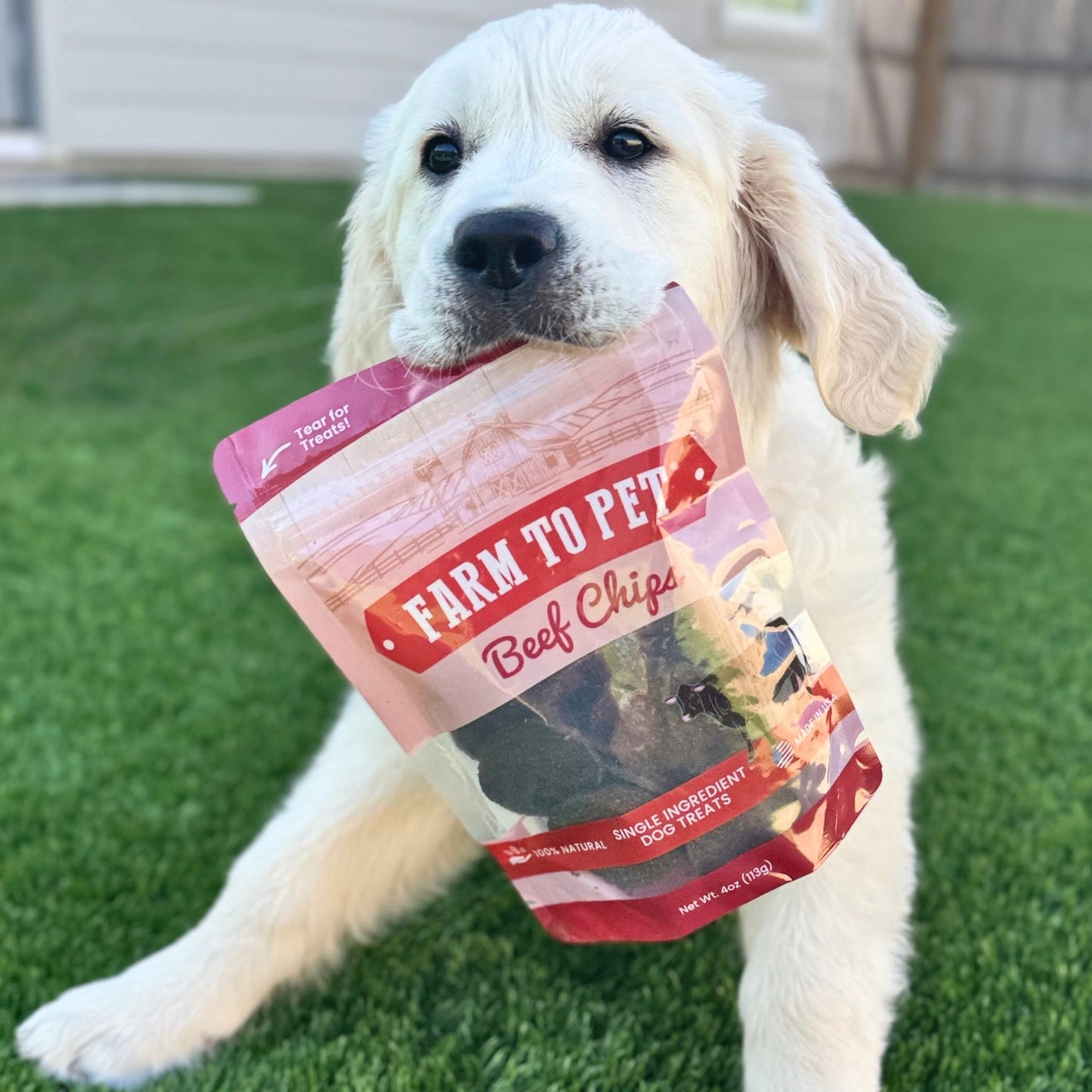 Farm To Pet Beef Chips – Premium Dog Treats 12oz Beef Chips White Dog