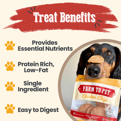 Chicken Chips Snack Packs – Premium Dog Treats Snack Pack Chicken Chips Benefits a0ed 48ba a1b5 808ed2598634