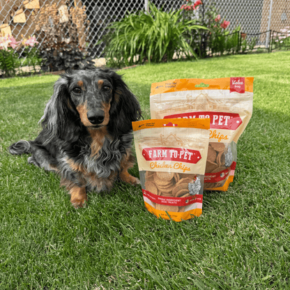 Farm To Pet Chicken Chips – Premium Dog Treats 4oz and 12oz Chicken Chips Dog sitting