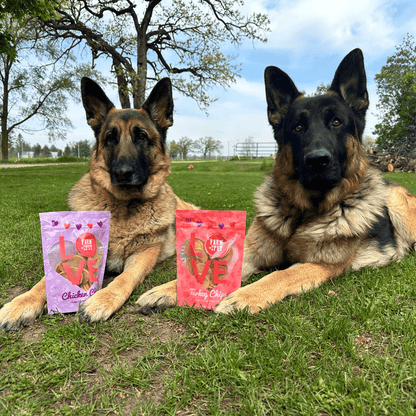 Puppy Love Dog Treat Duo – Puppy Love Healthy Dog Snacks Valentines Chicken and Turkey Combo Chips two dogs