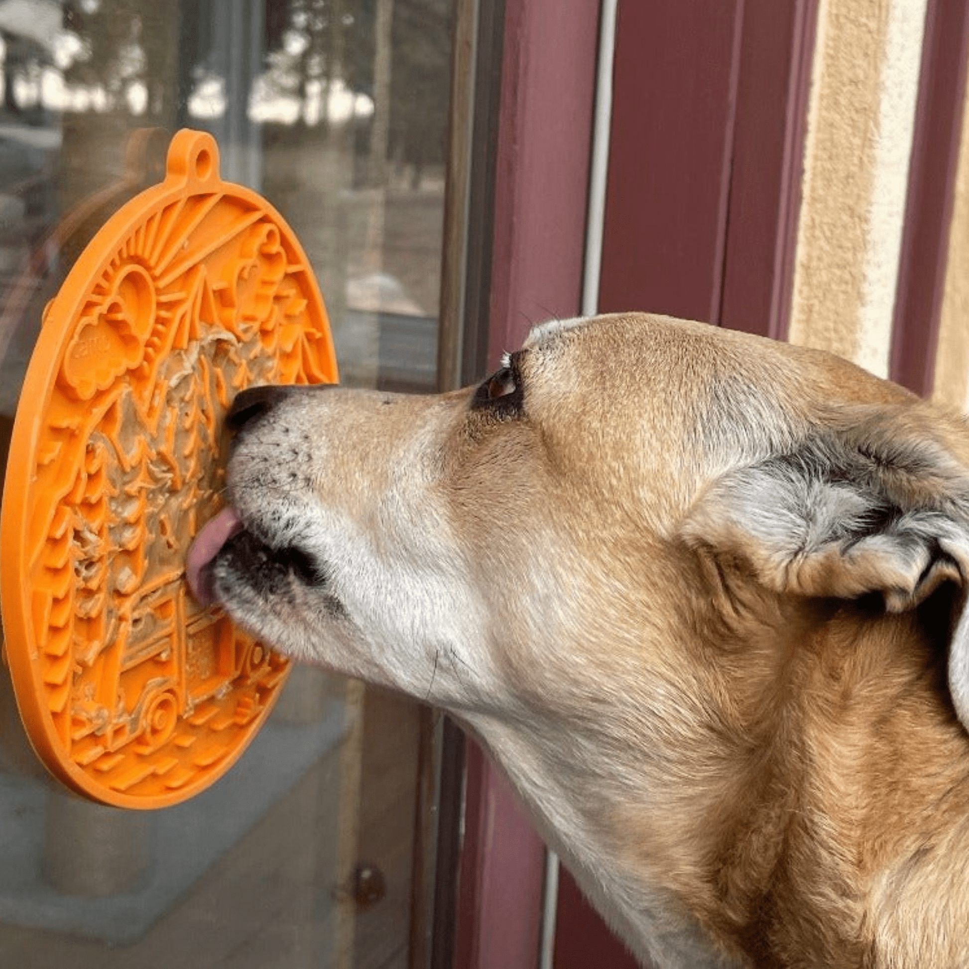 SodaPup Lick Mats with Suction Cups – Round Dog Lick Mat with Suction Cups Orange Camp Dog licking