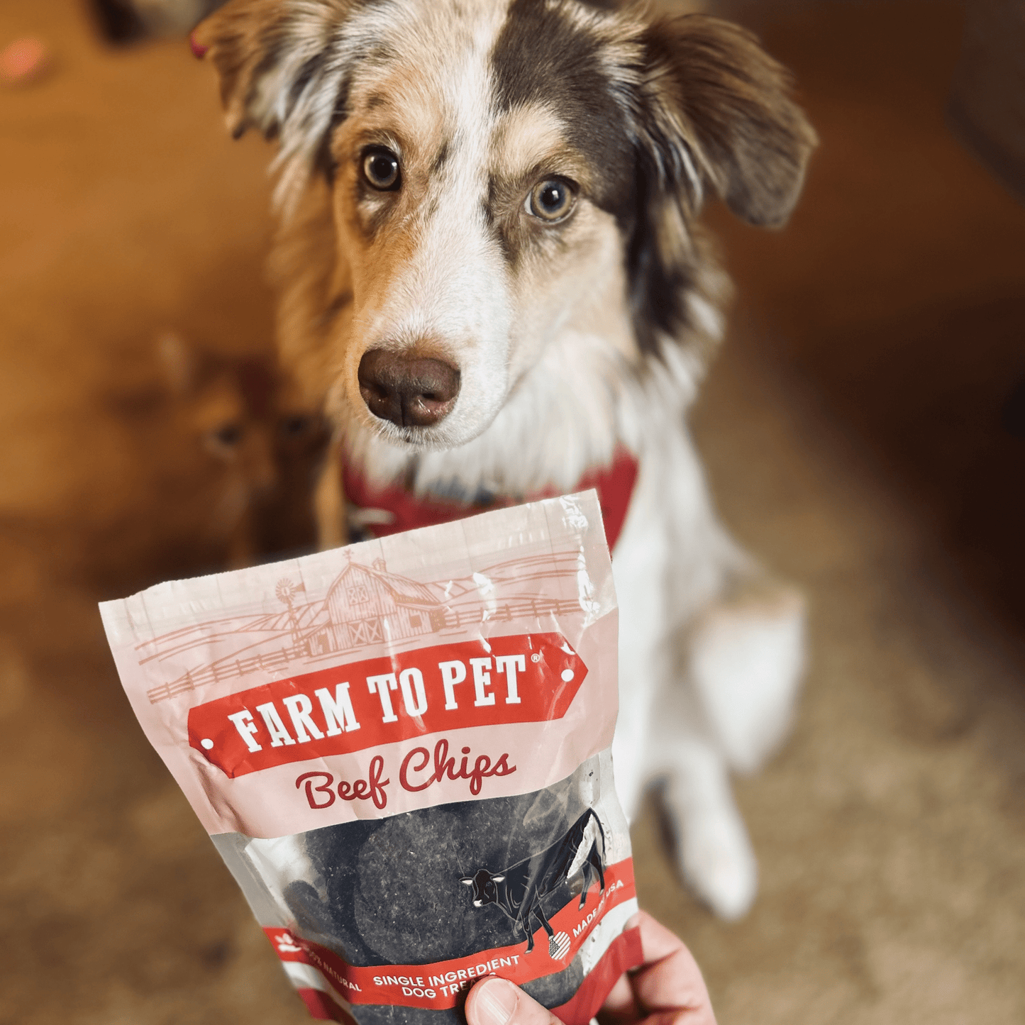 Puppy Packs 'n Snacks – Single Ingredient Beef Chips Training Treats for dogs