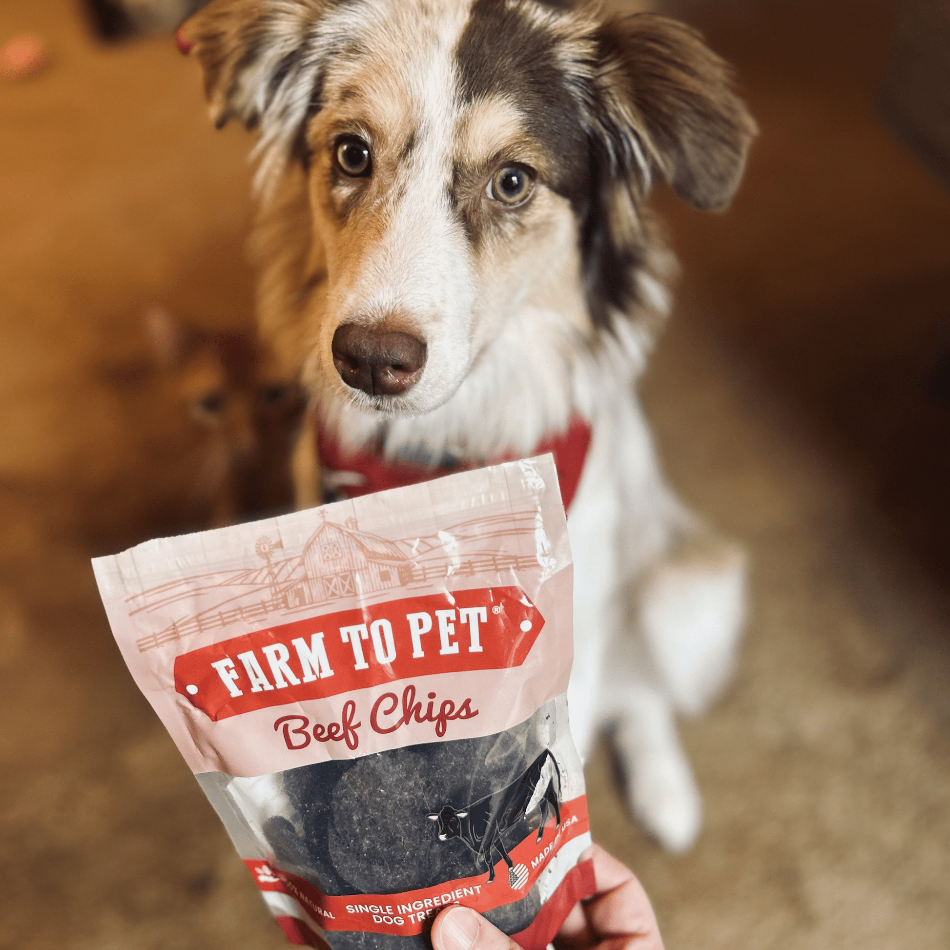 Puppy Packs 'n Snacks – Single Ingredient Beef Chips Training Treats for dogs