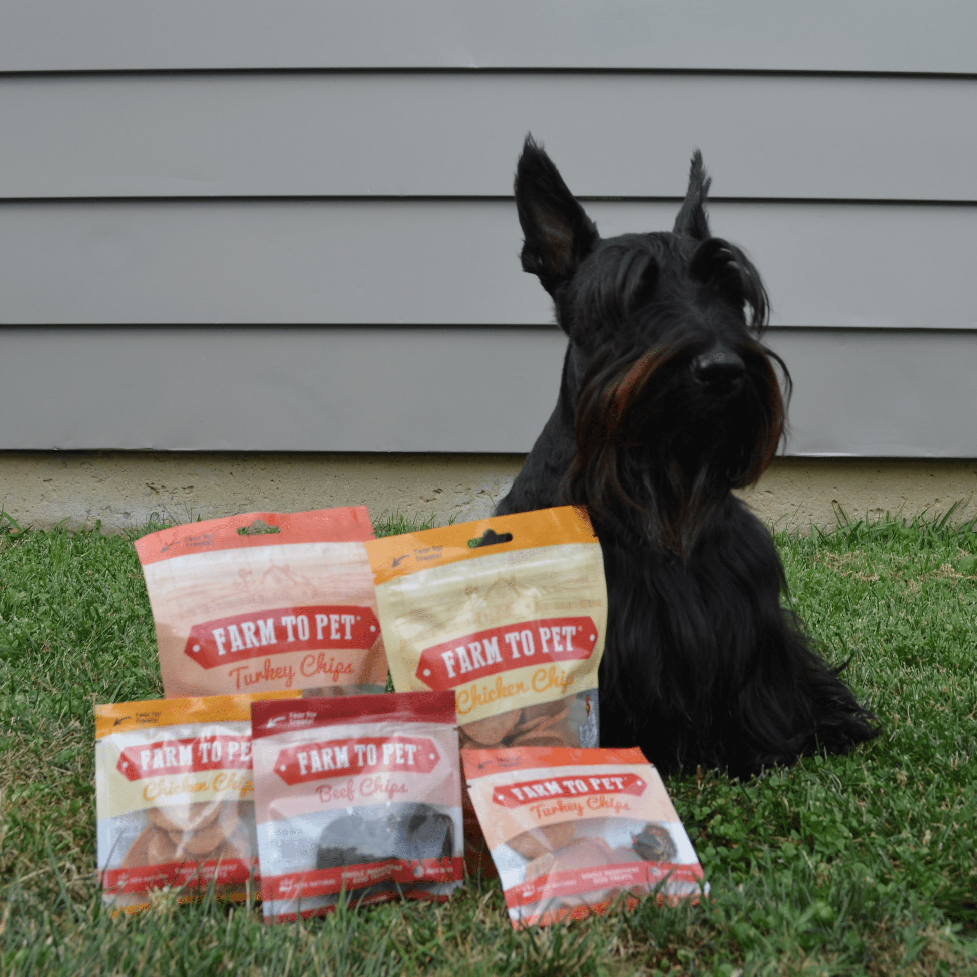 Black dog sitting on grass with 'Farm to Pet' pet food packages in front