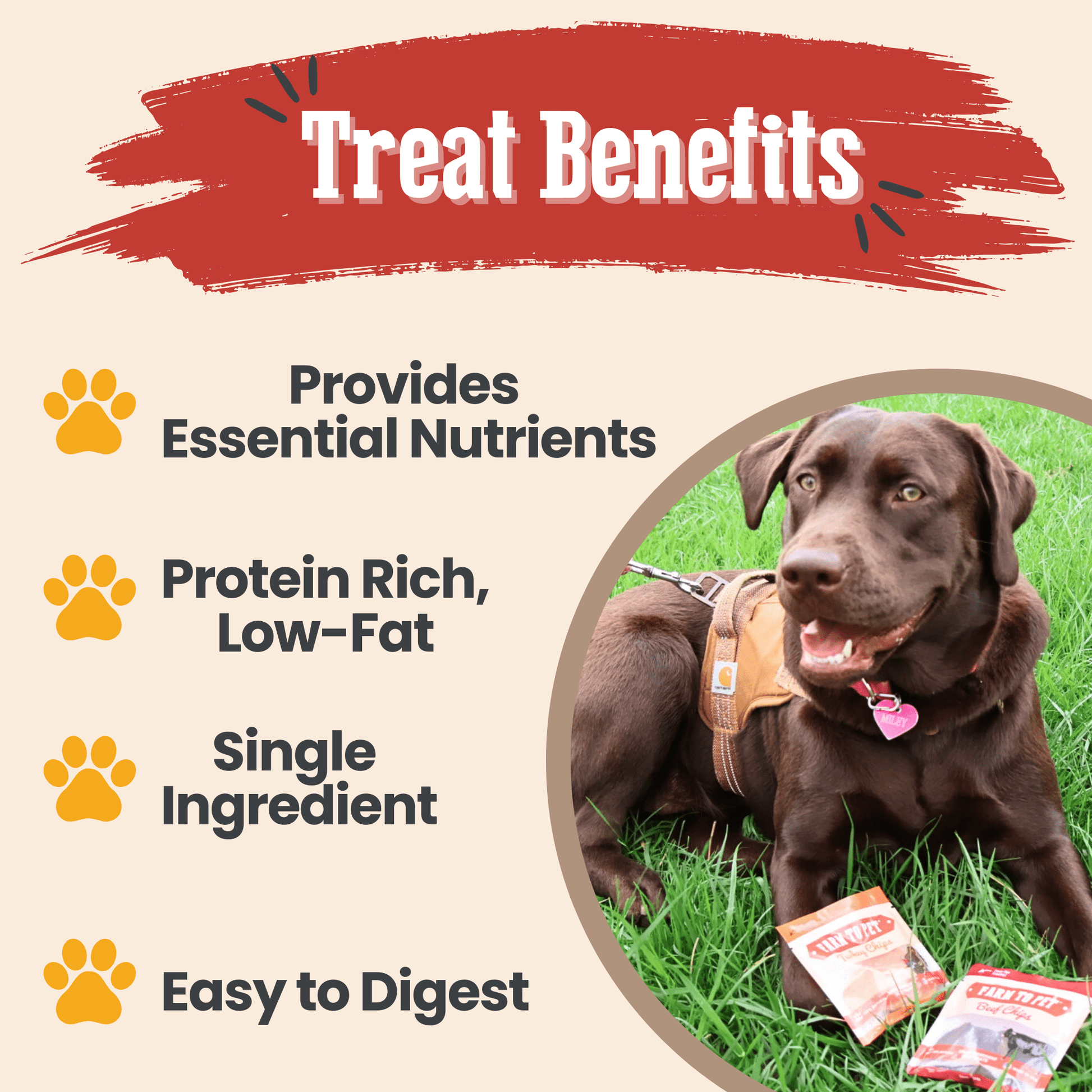 Farm To Pet Snack Pack Sampler – Single Ingredient Dog Treat Snack Pack Dog Treat Sampler Treat Benefits