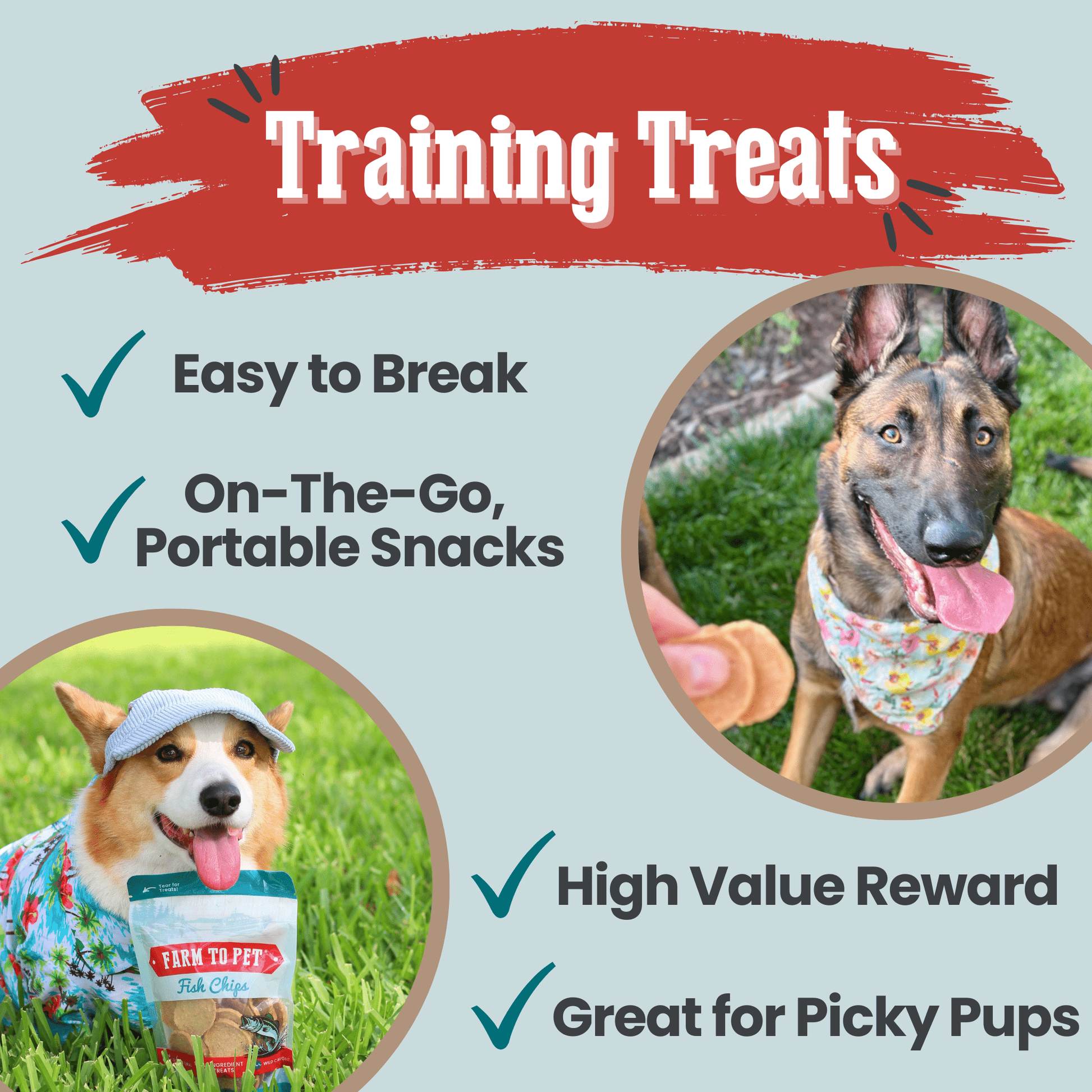 Farm To Pet Fish Chips for Dogs – Wild-Caught Walleye Treats - Whisker House