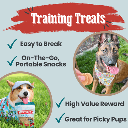 Farm To Pet Fish Chips for Dogs – Wild-Caught Walleye Treats - Whisker House