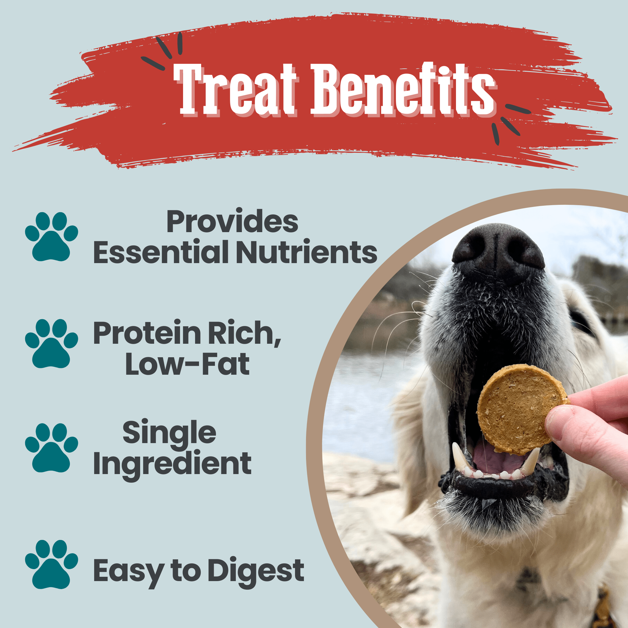 Farm To Pet Fish Chips for Dogs – Wild-Caught Walleye Treats - Whisker House